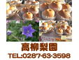 高柳梨園