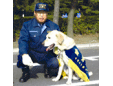 鈴木警察犬家庭犬訓練所