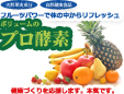 プロ酵素お客様相談室