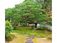 有限会社岩瀬造園