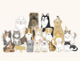 吉田動物病院