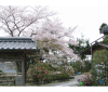 妙法山常信寺