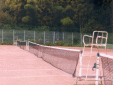 京都国際ローンテニスクラブ