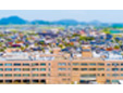昭和病院