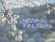 三浦屋温泉ビジネスホテル