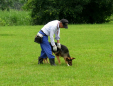 キジマ警察犬訓練所