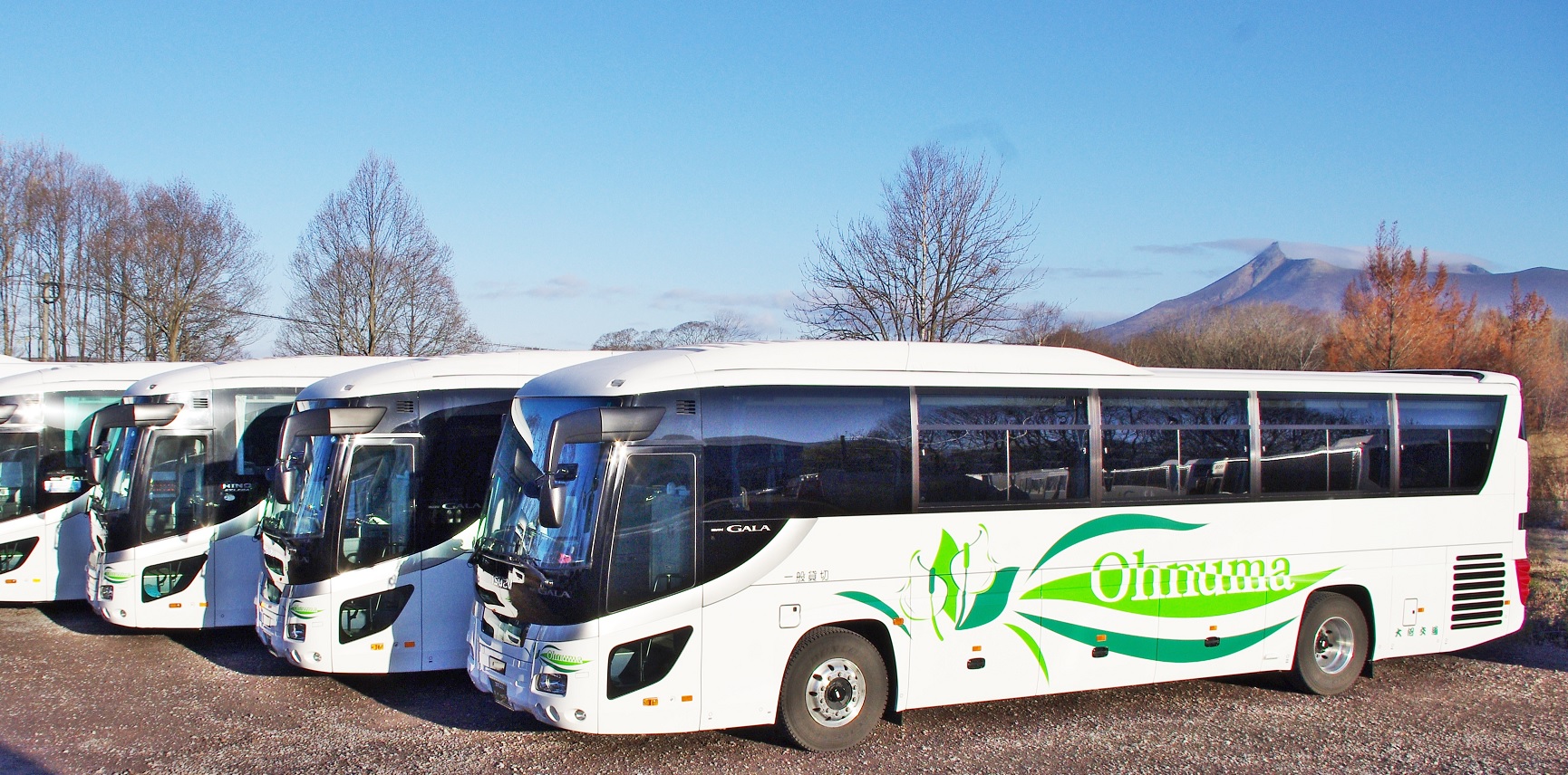 有限会社大沼交通