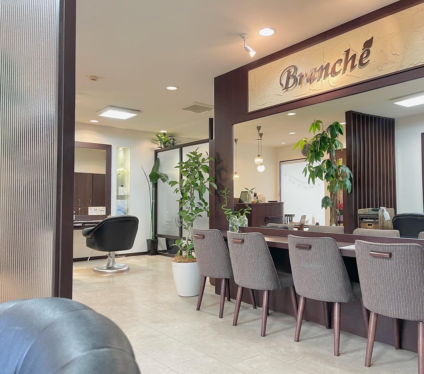 Ｂｒａｎｃｈｅ