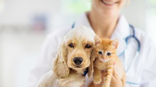 ユナイテッド仙台いずみ動物病院