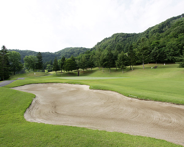 ＬｉＶＥ　ＭＡＸ　ゴルフクラブ栃木