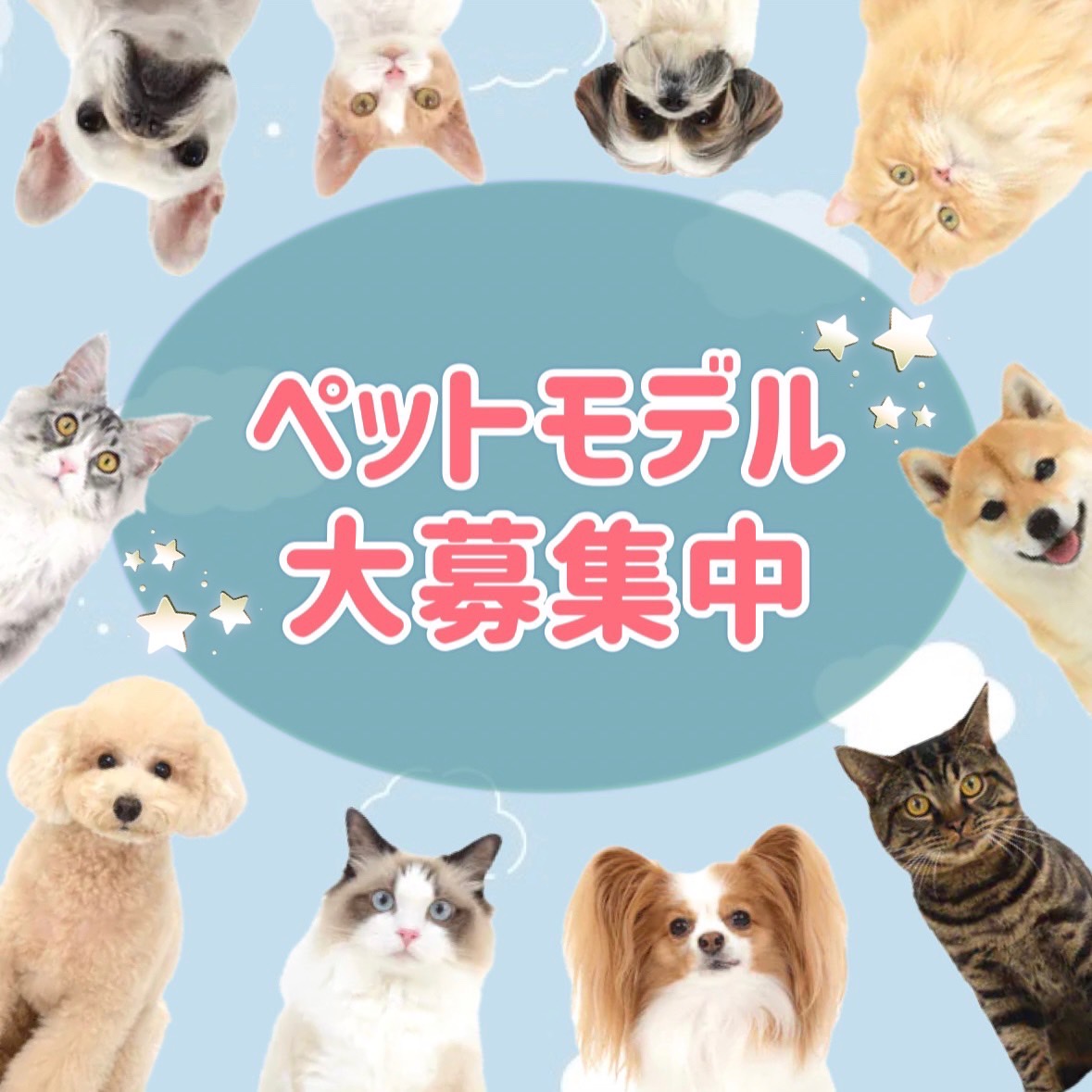 株式会社エムドッグス