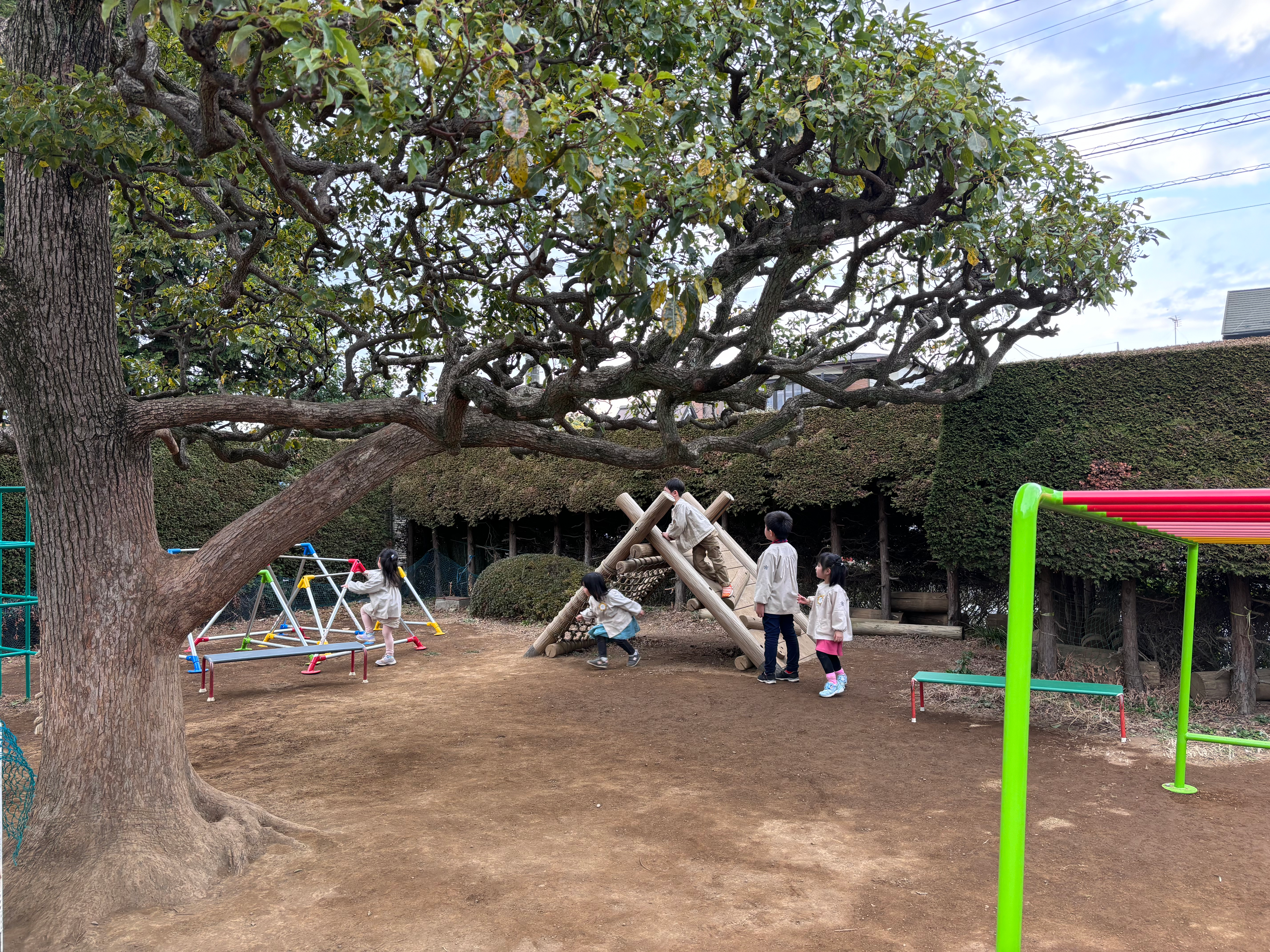 認定こども園恵泉幼稚園