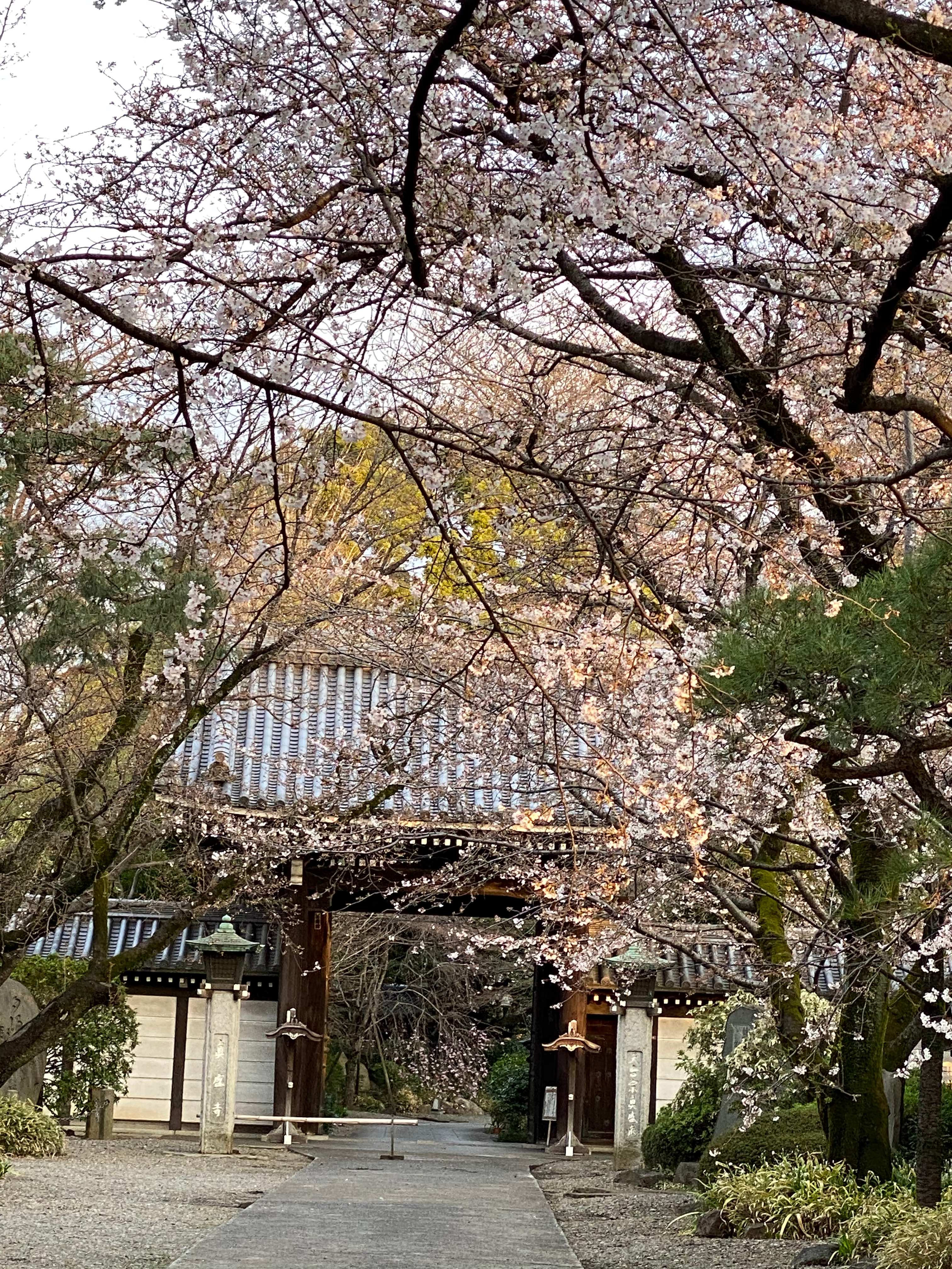 真盛寺