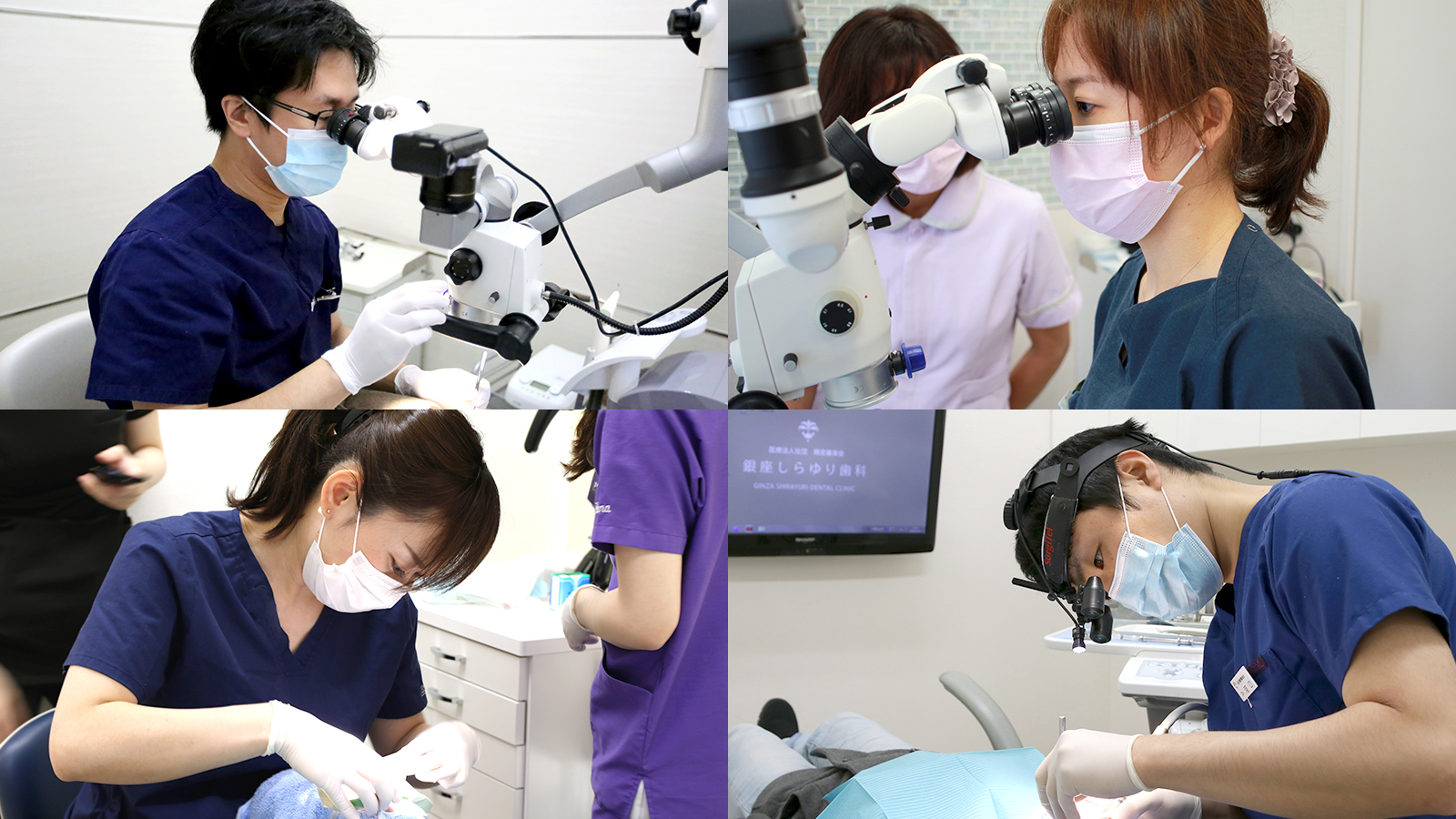 精密審美会（医療法人社団）