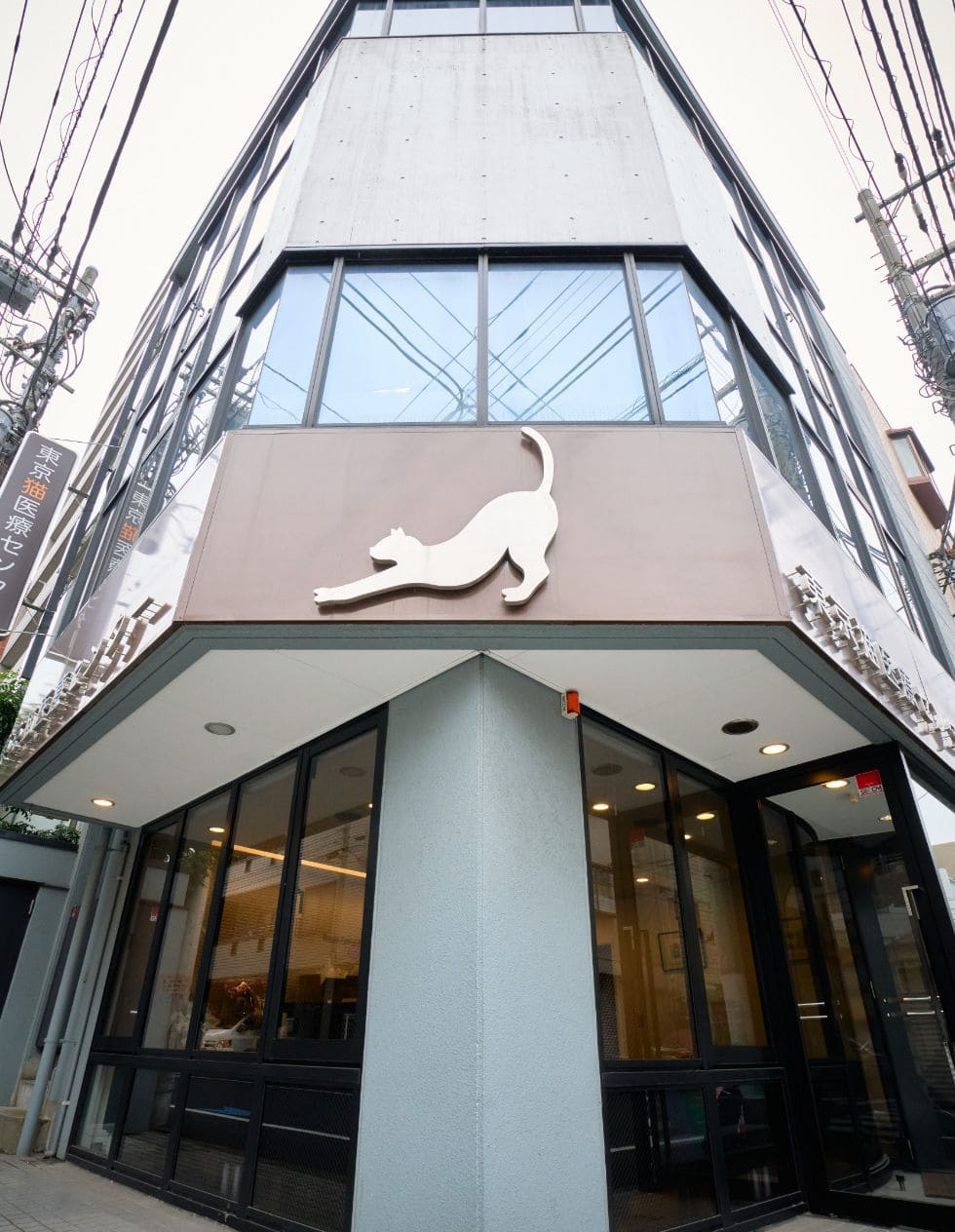 東京猫医療センター