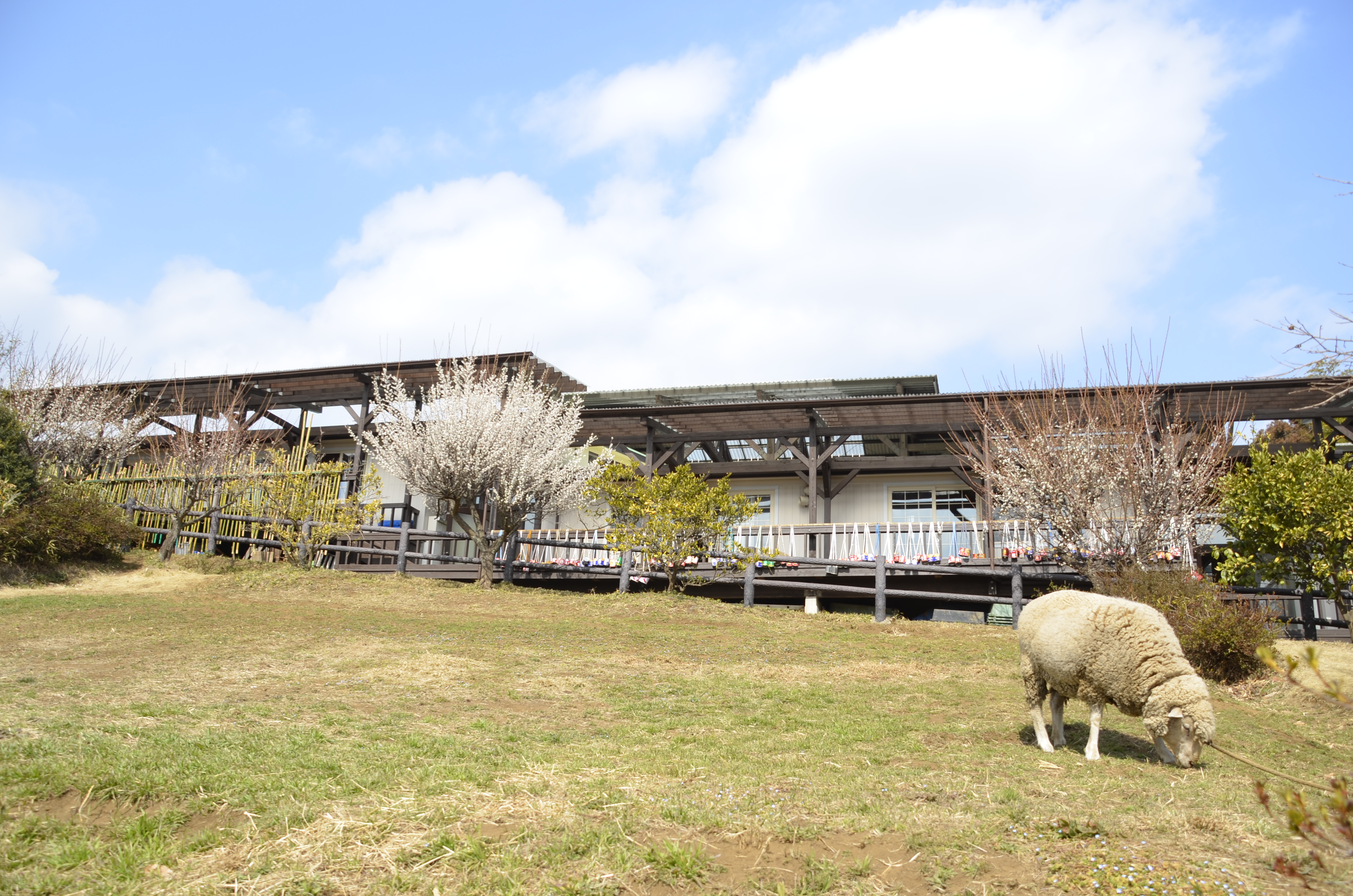 風の谷幼稚園