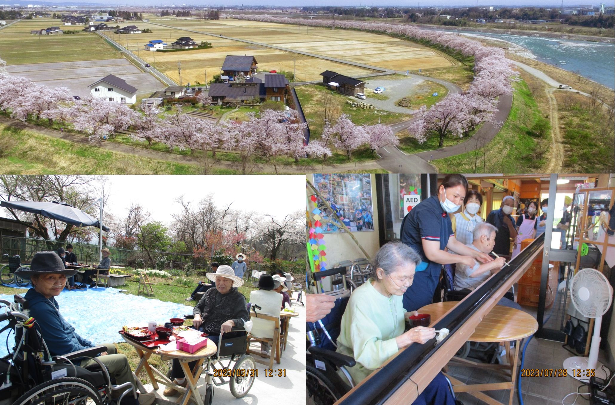 株式会社さくらの会／サポートハウス神通さくら野