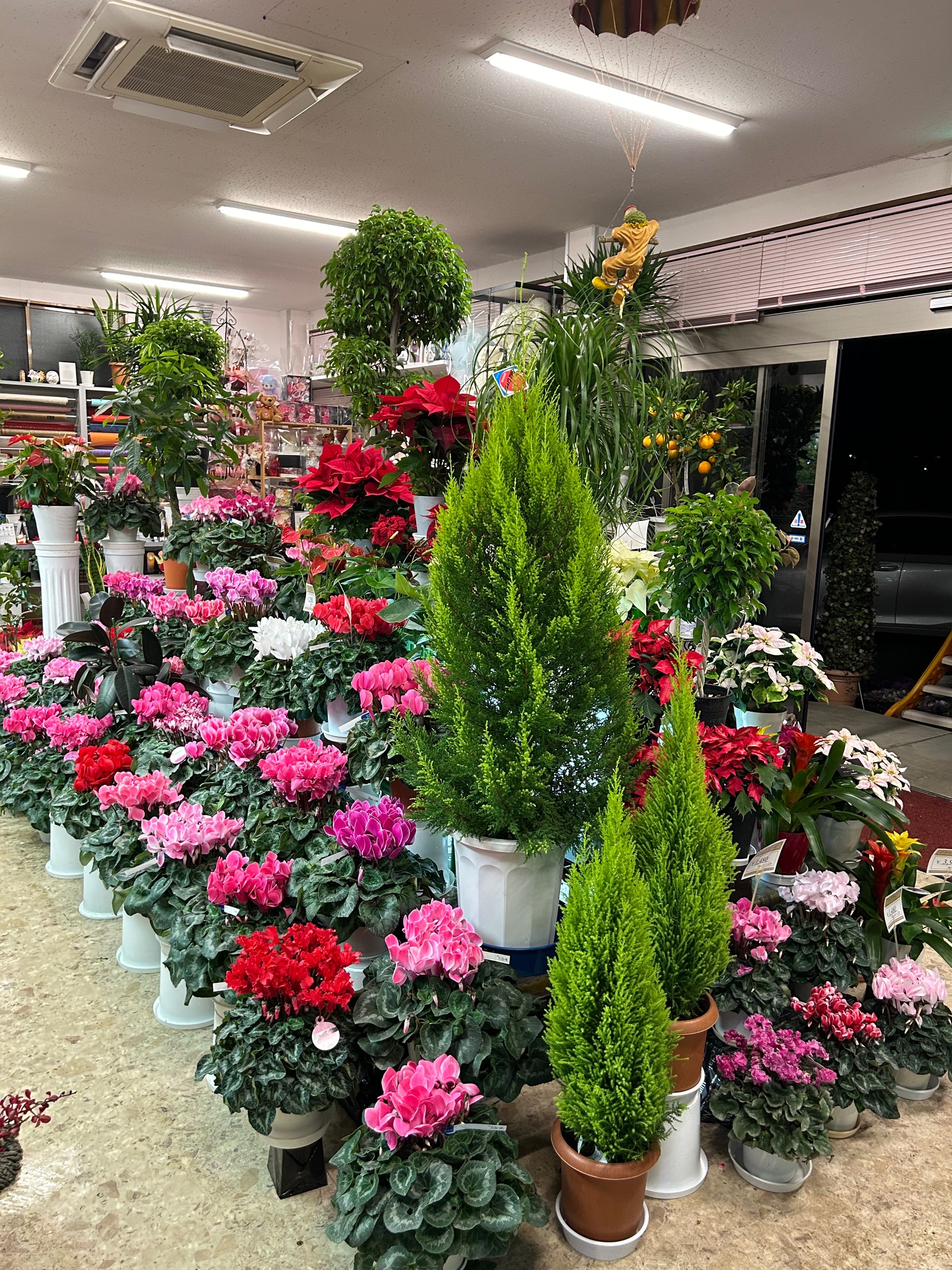 有限会社はなふじ／本店