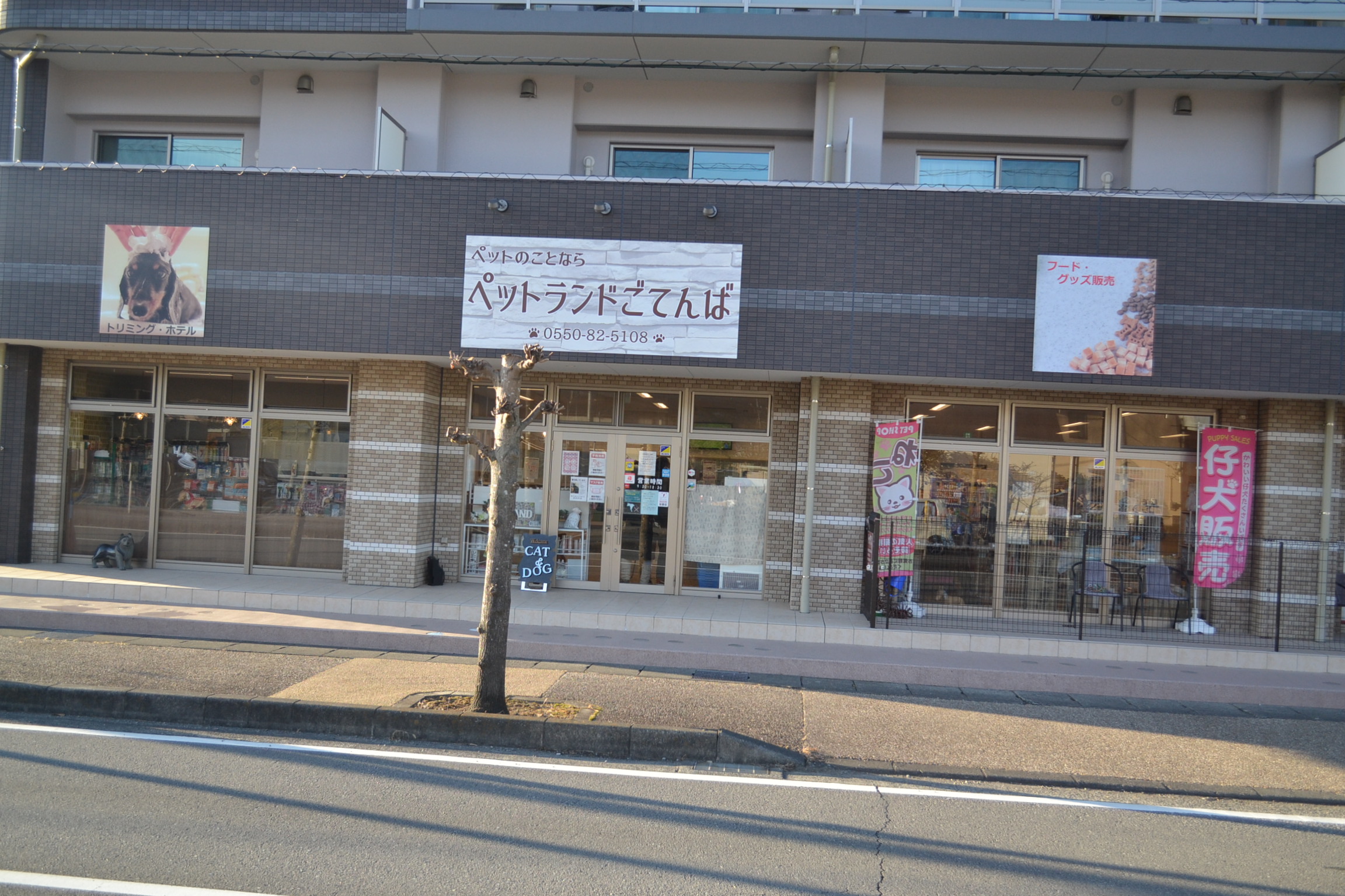 ペットランドごてんば