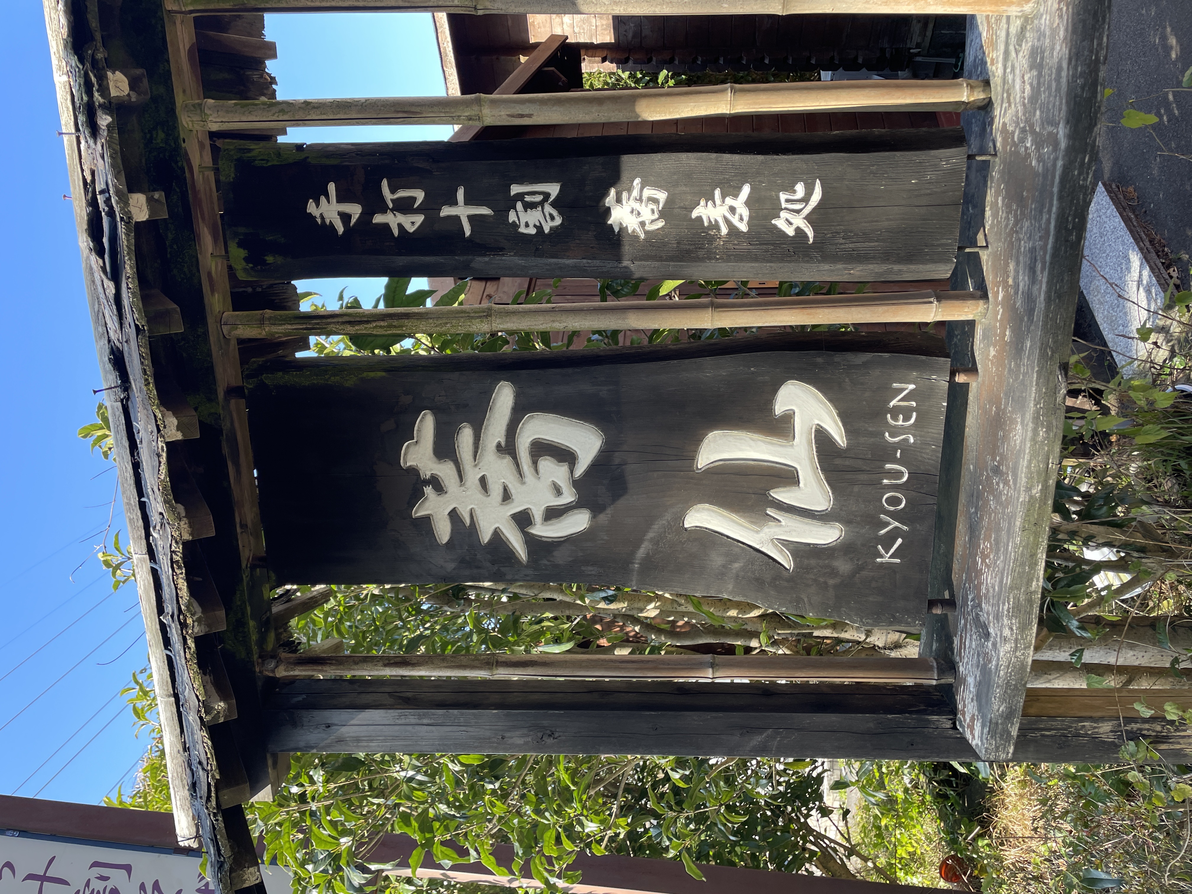 蕎仙