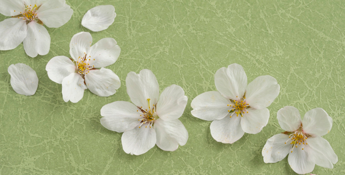 遠藤仁税理士事務所