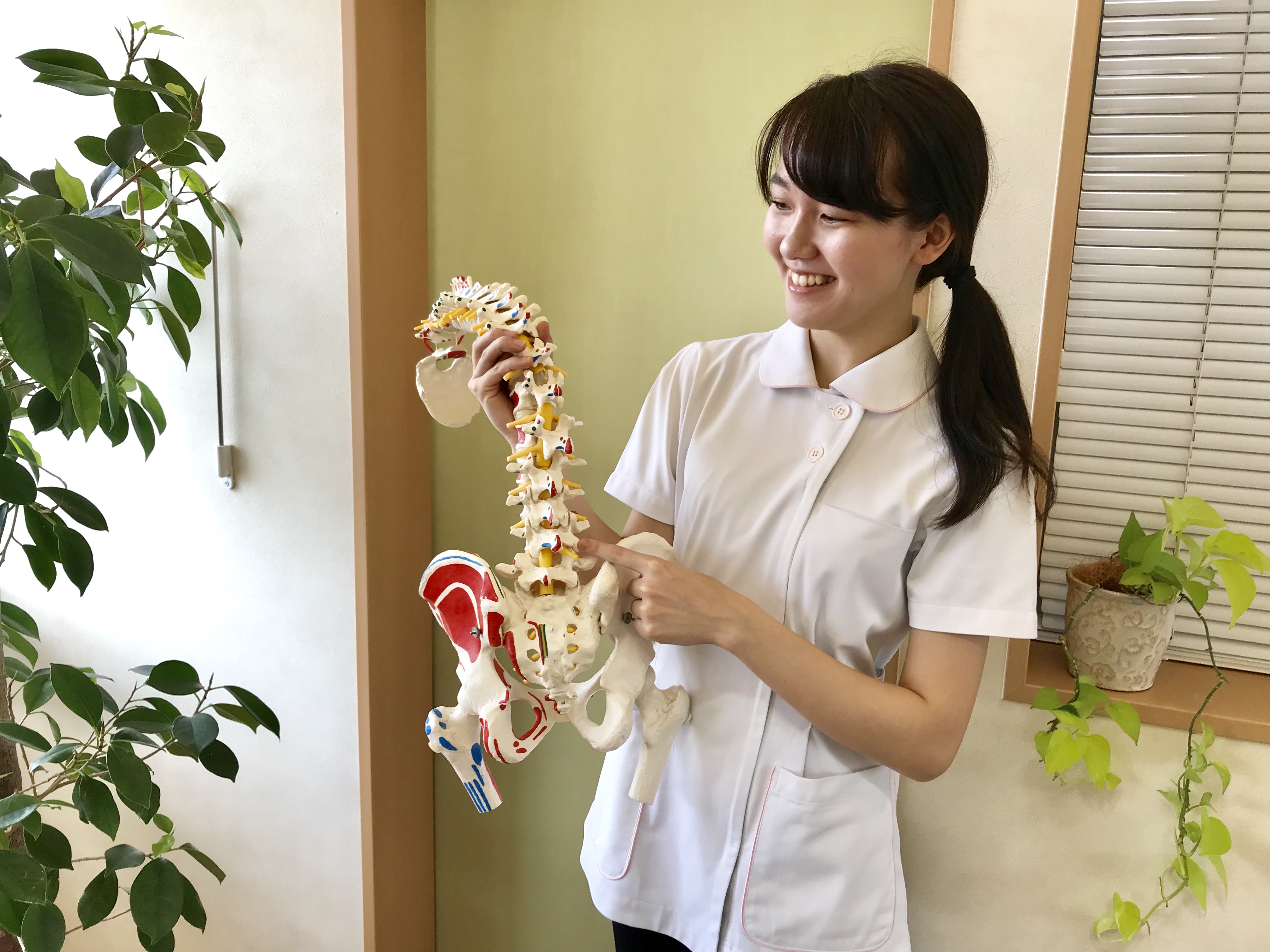 赤とんぼ鍼灸整骨院