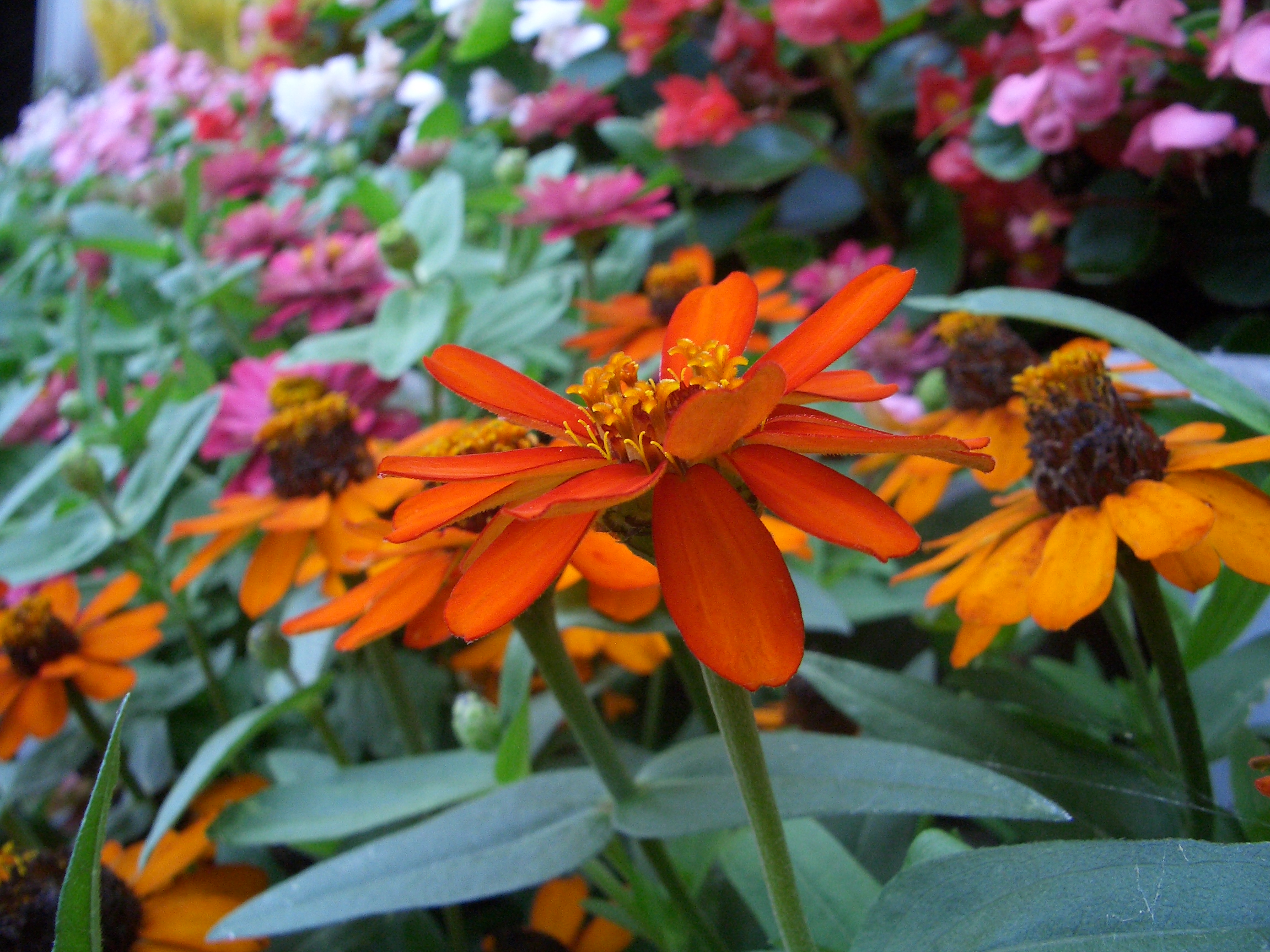 株式会社ＡＩＣＨＩメーデル