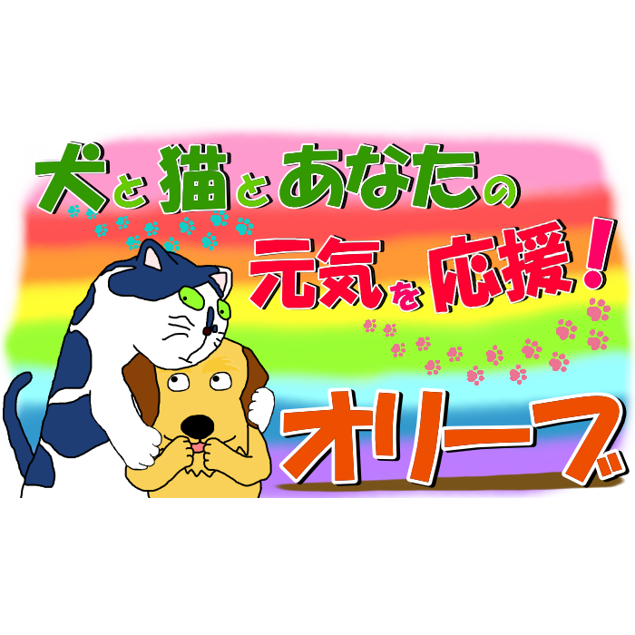 オリーブ（ＯＬＩＶＥ）