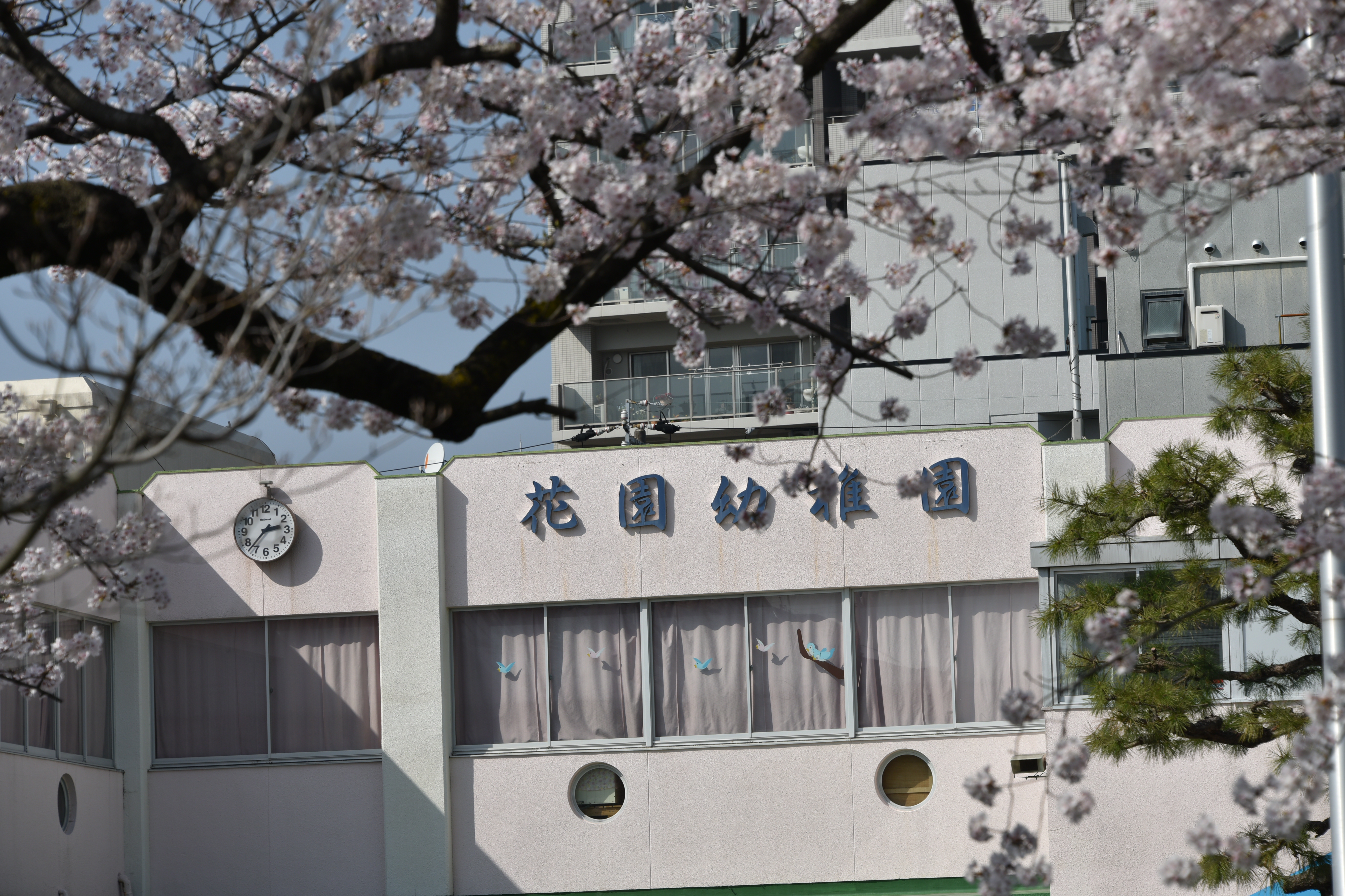 花園幼稚園