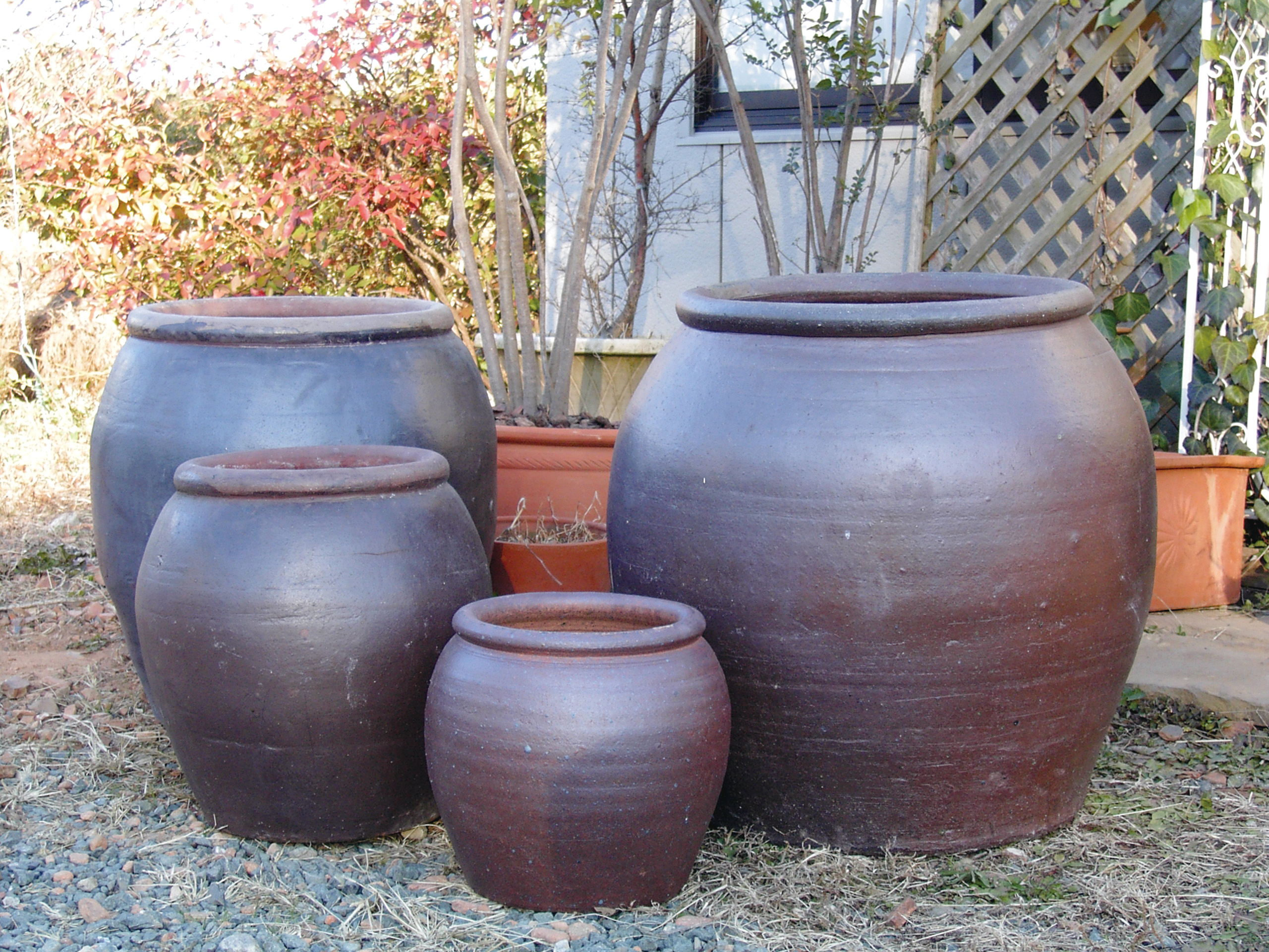 啓愛インターナショナル