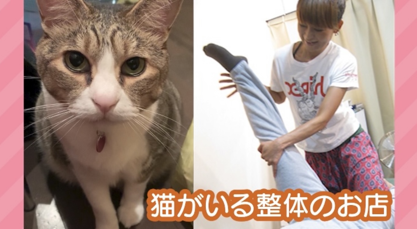 Ｒリラックス