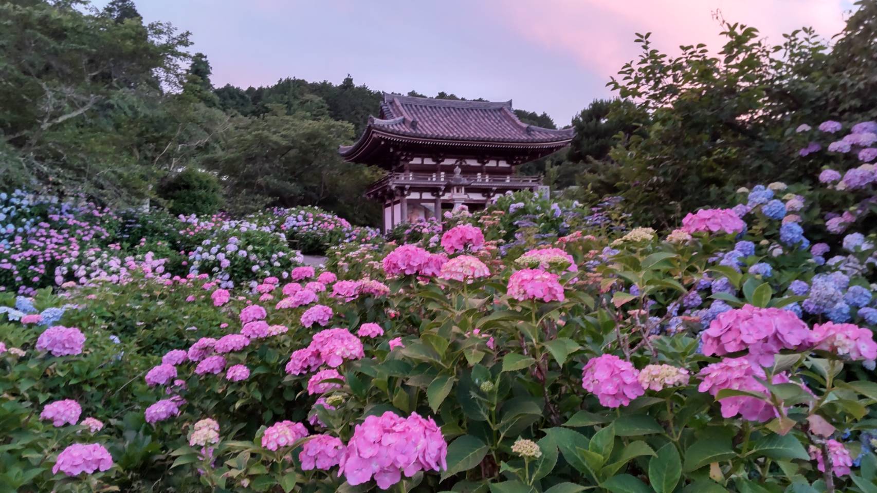 観音寺