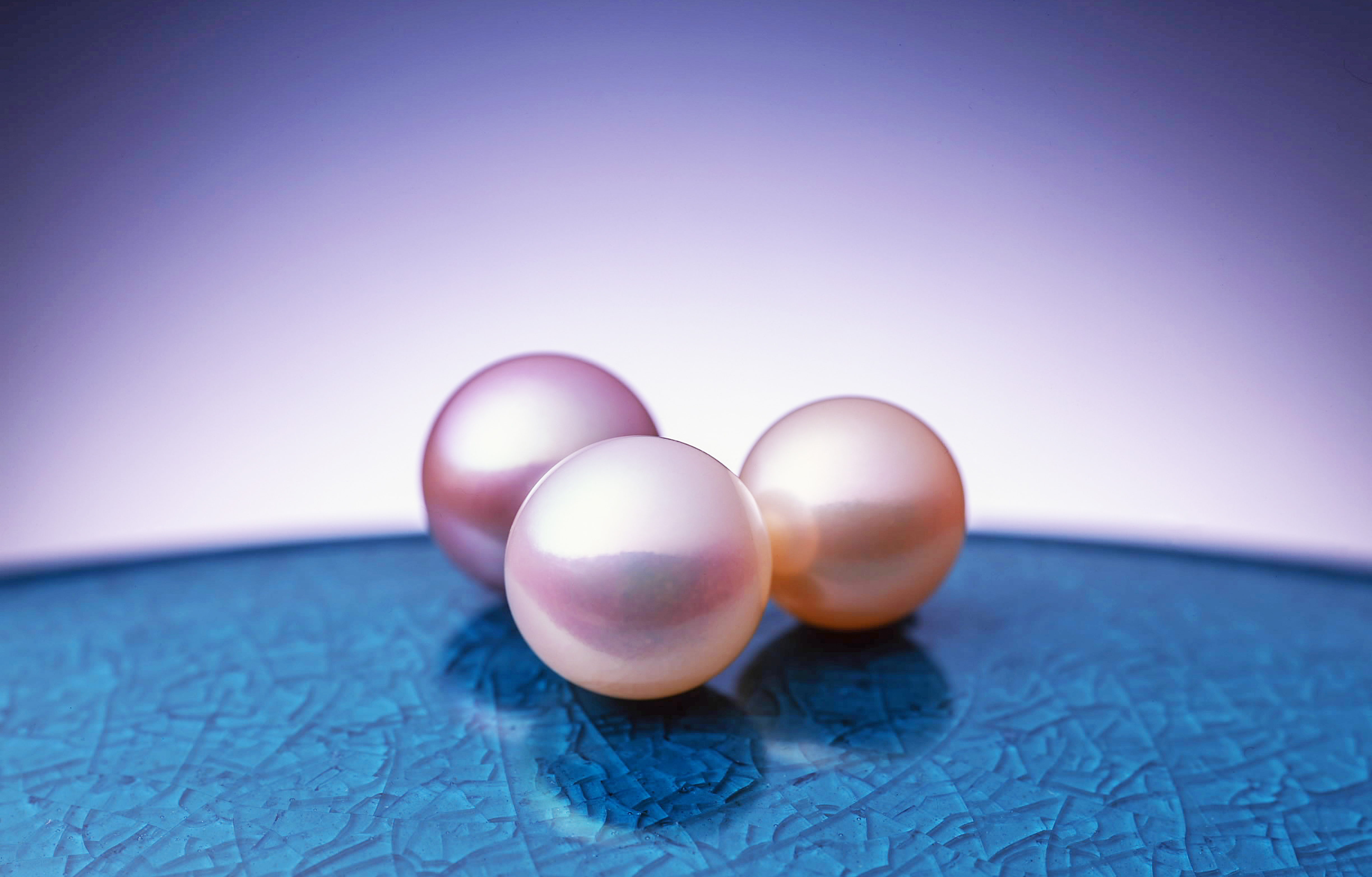 株式会社薬師真珠