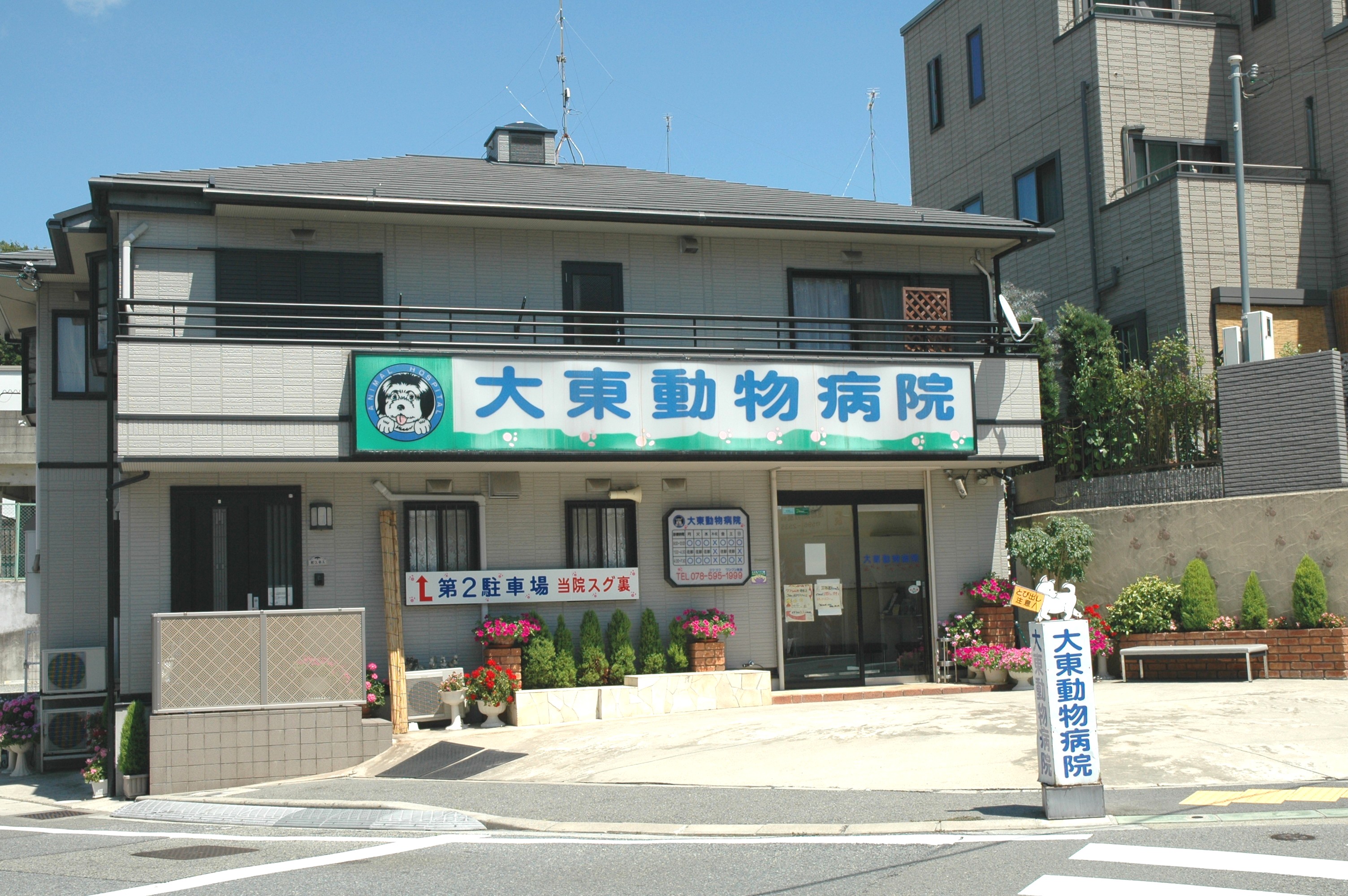 大東動物病院
