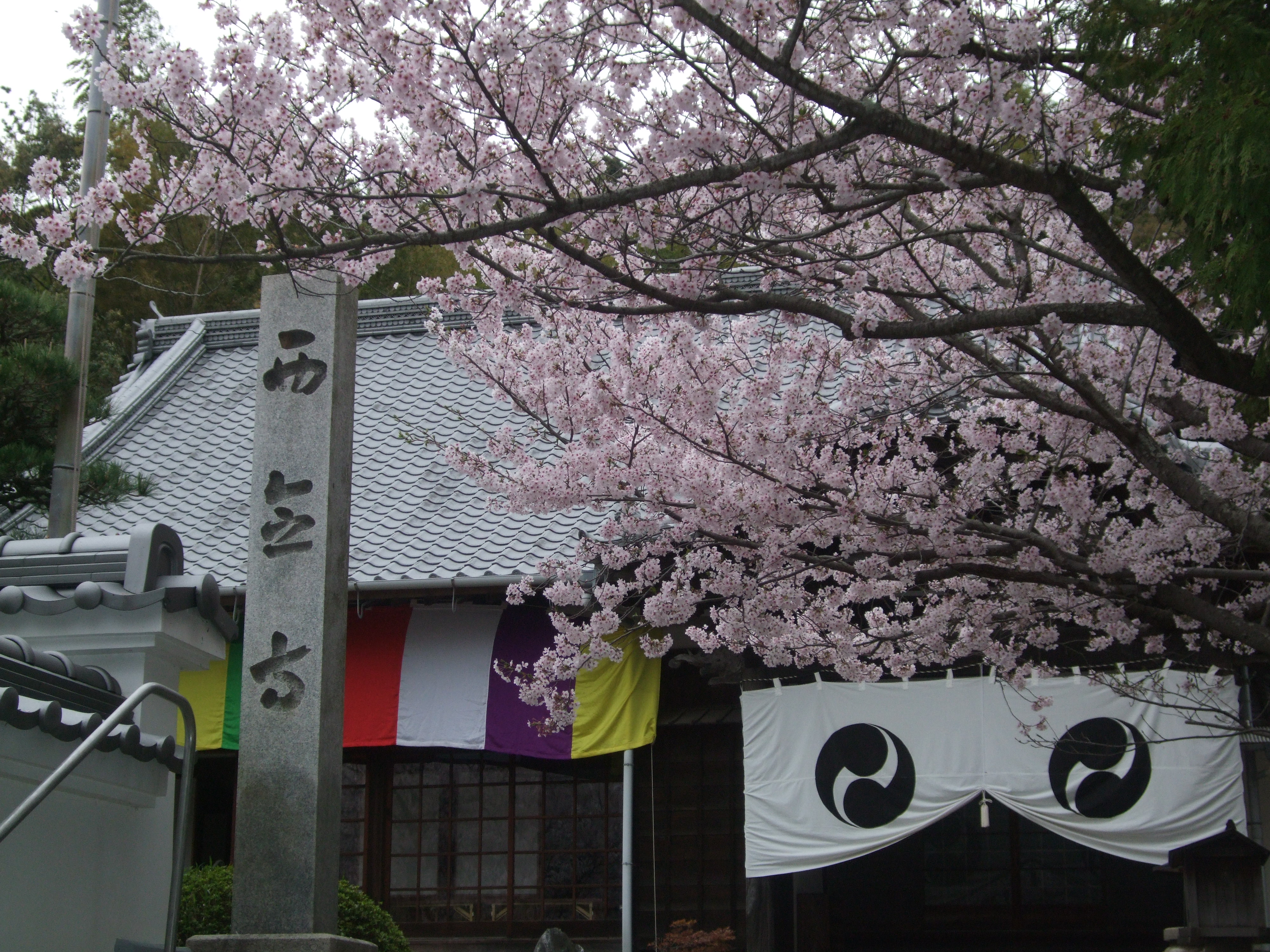 西念寺