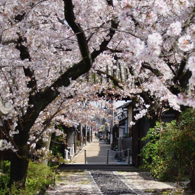順明寺