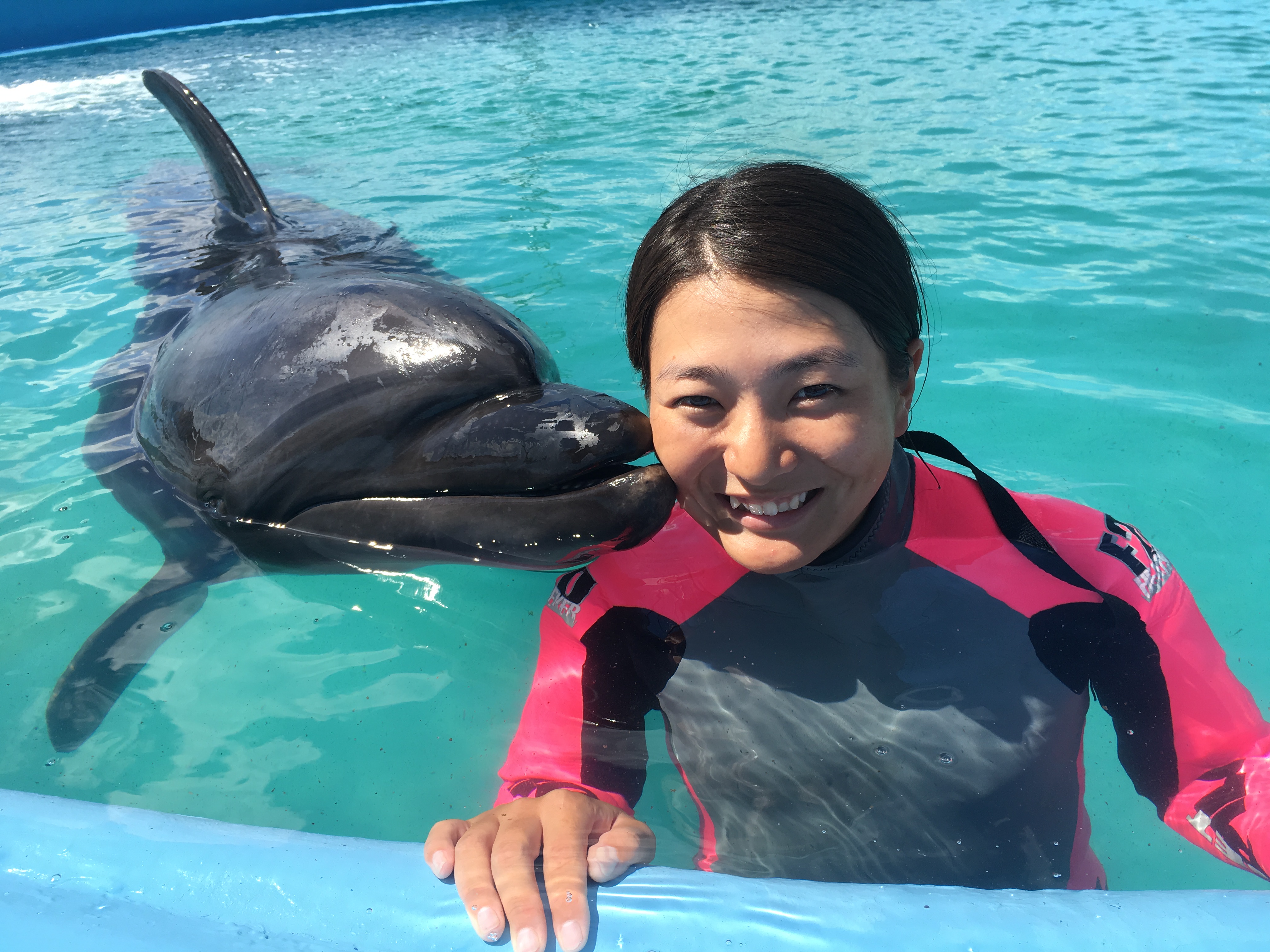 ドルフィンリゾートイルカふれあい