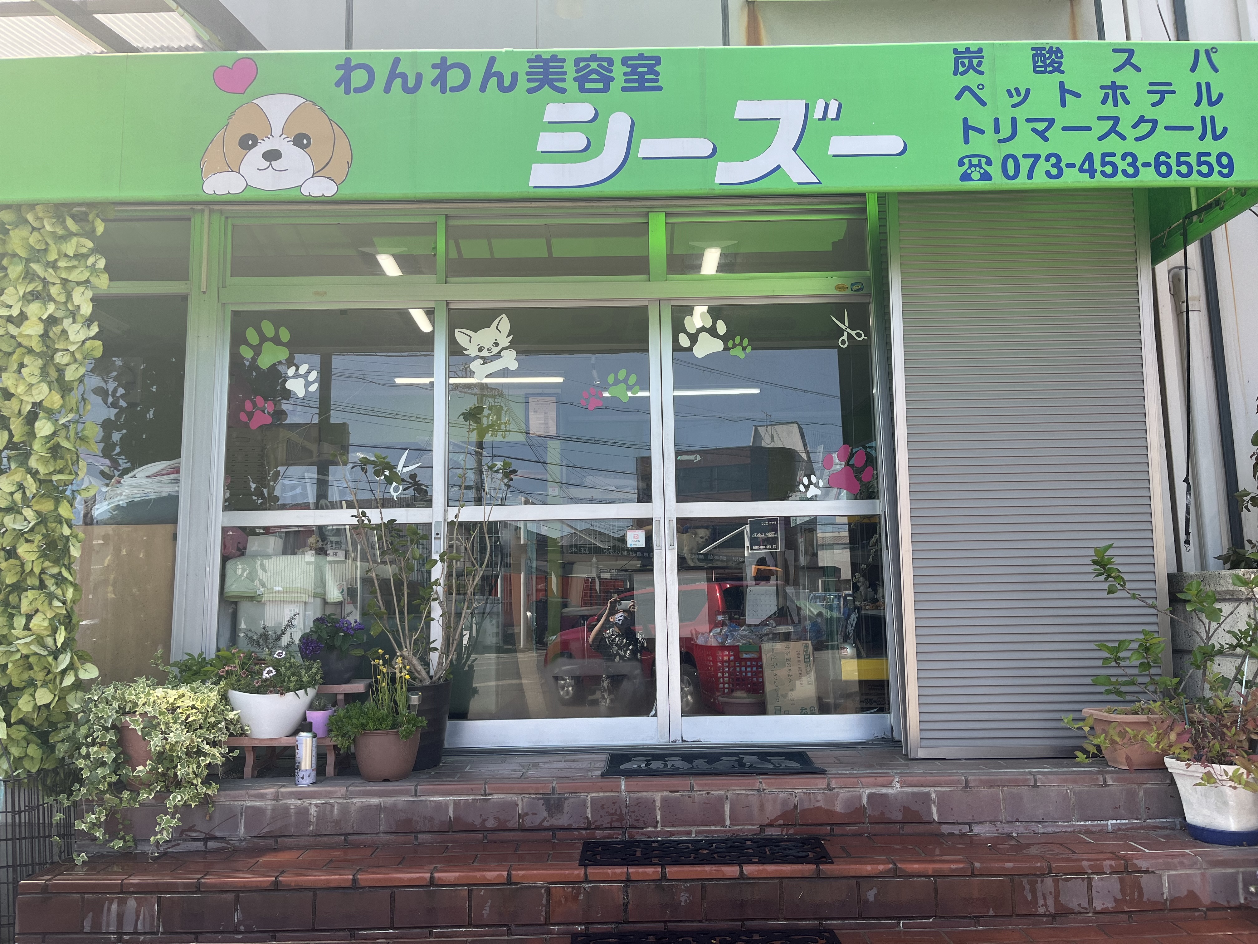 わんわん美容室シーズー