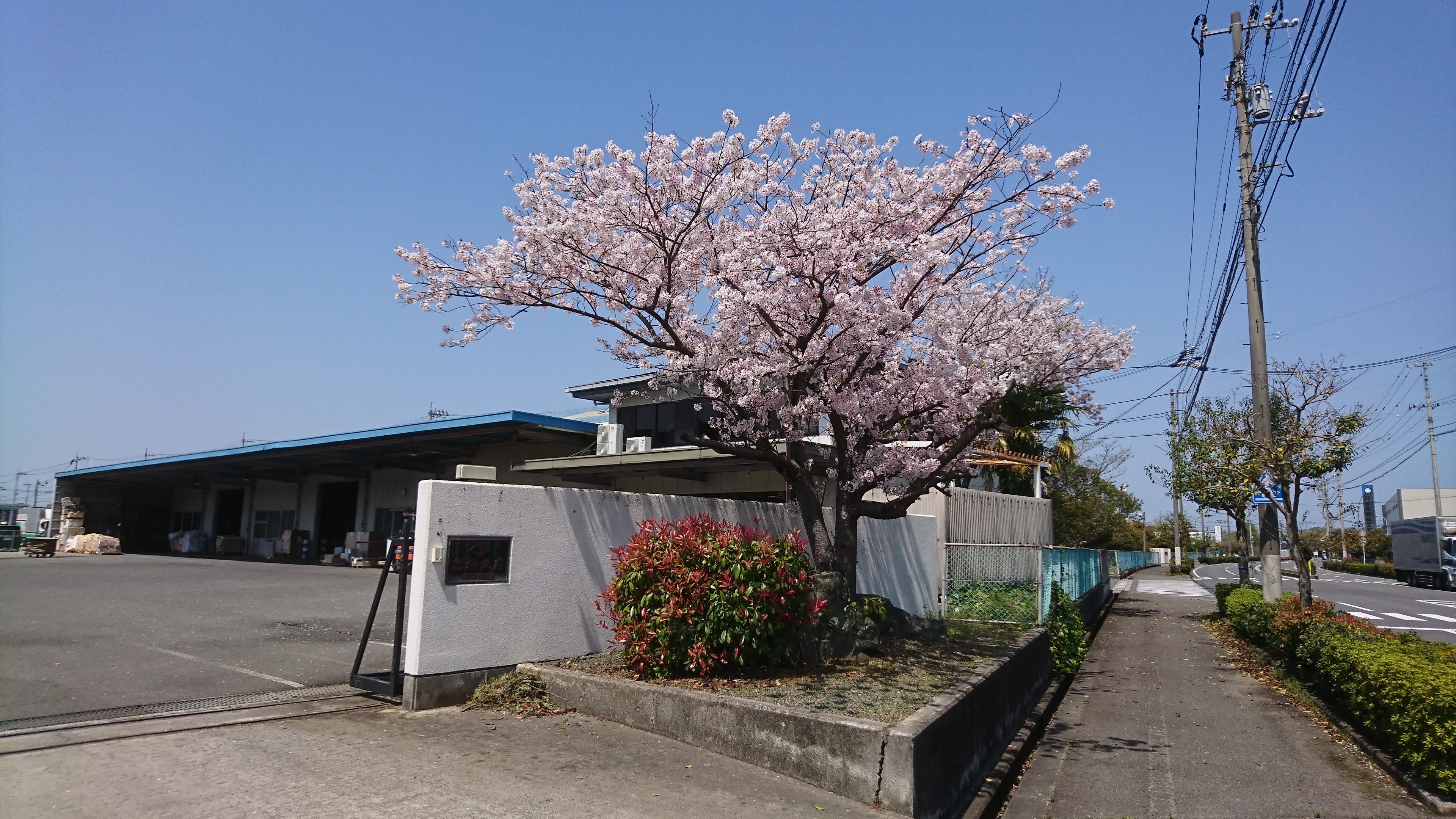 株式会社榊紙店新居浜支店