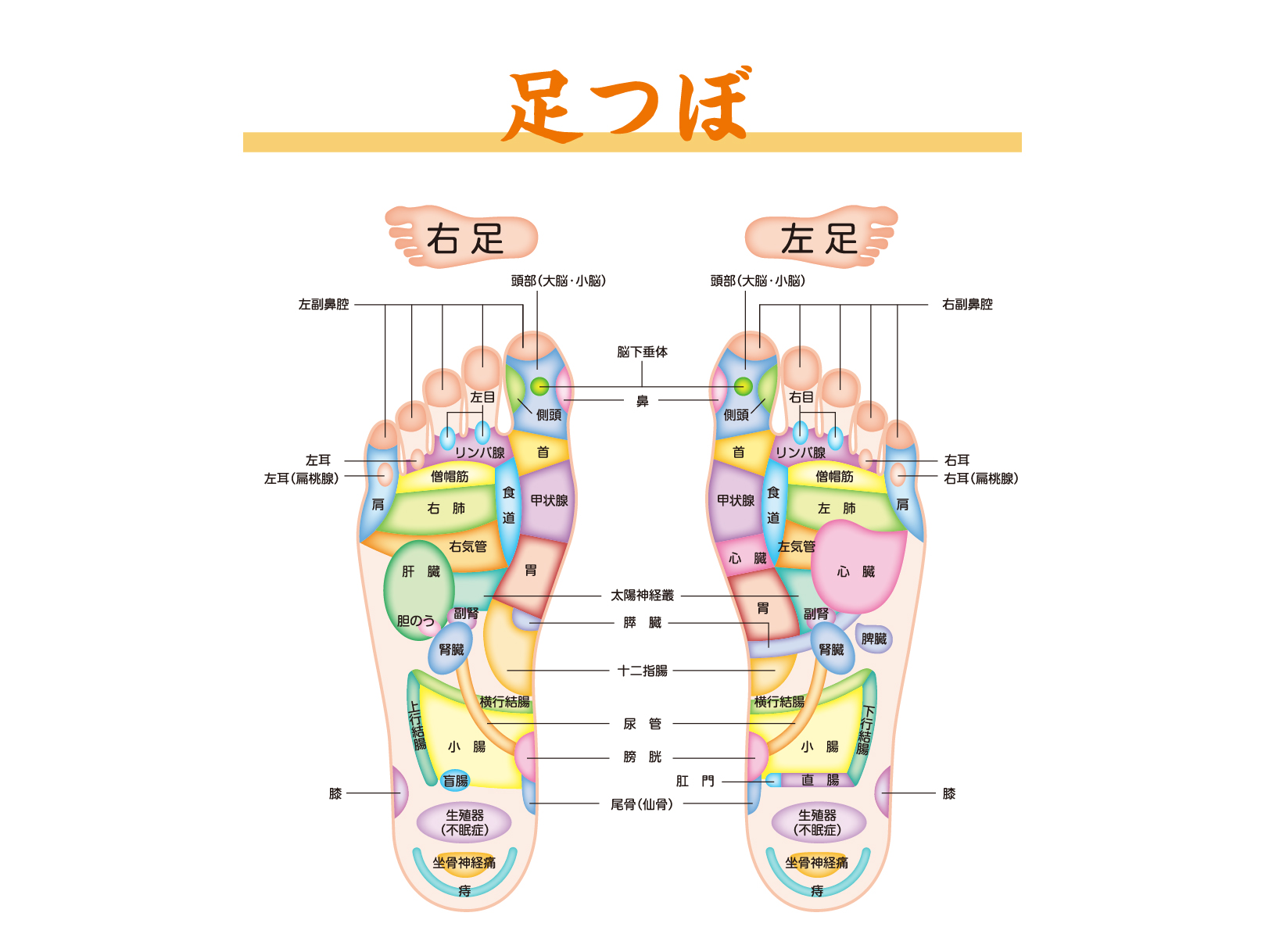 足ツボ整体＆リフレクソロジー禅