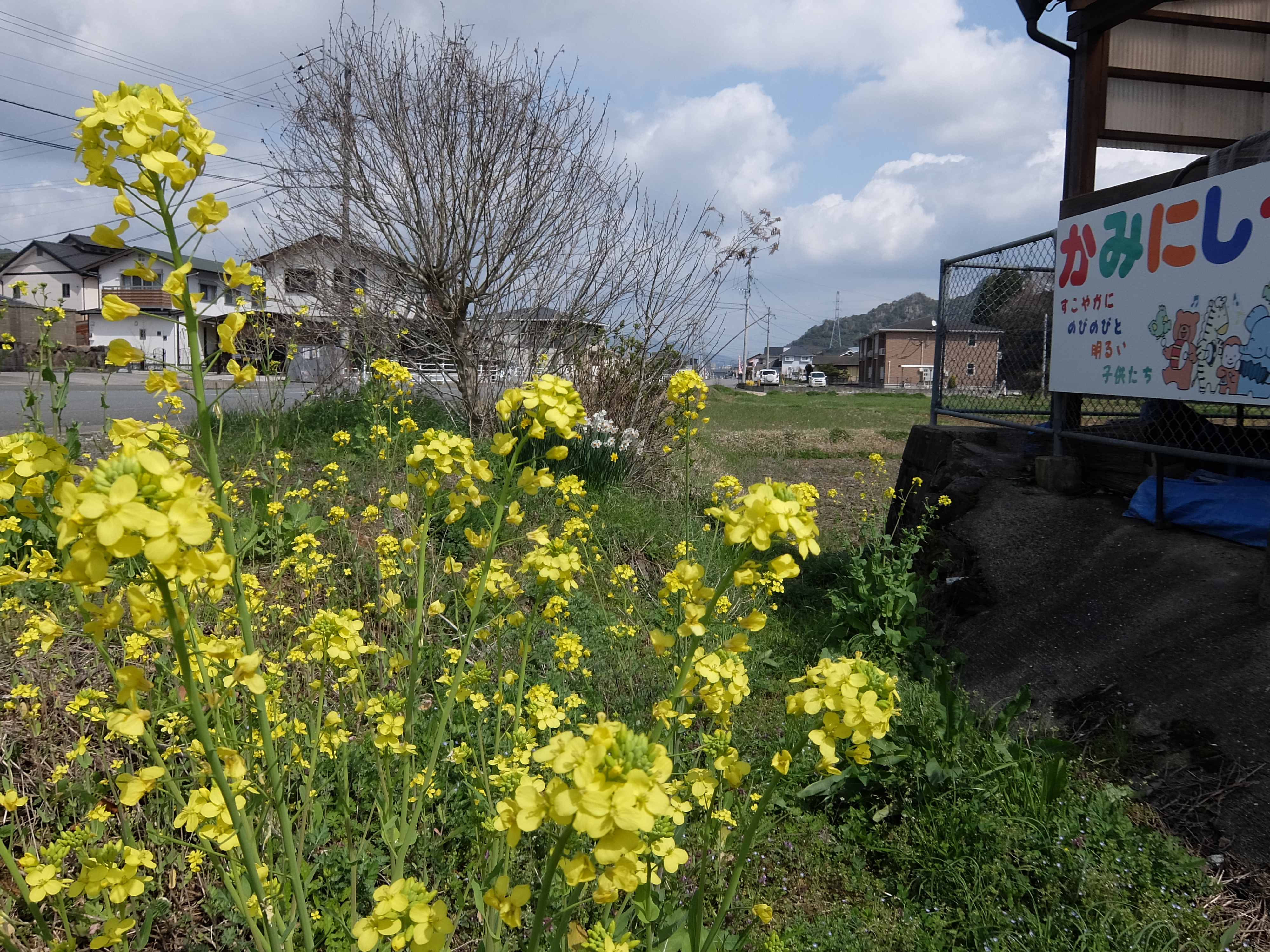 かみにしやま保育園