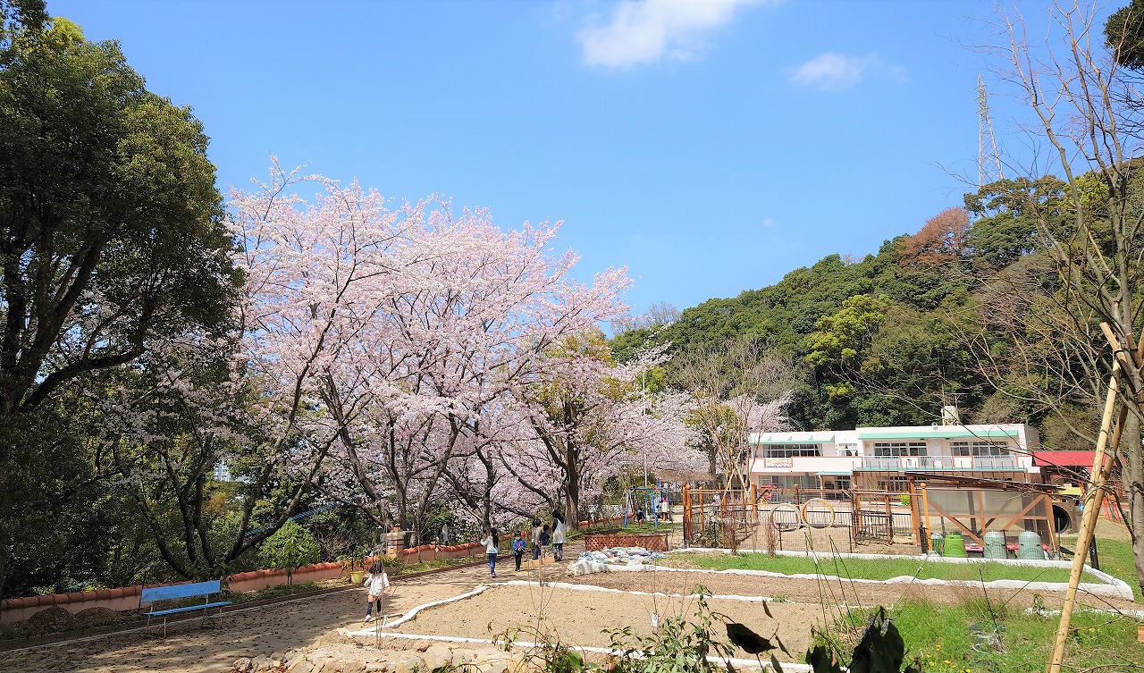 聖アントニオ幼稚園