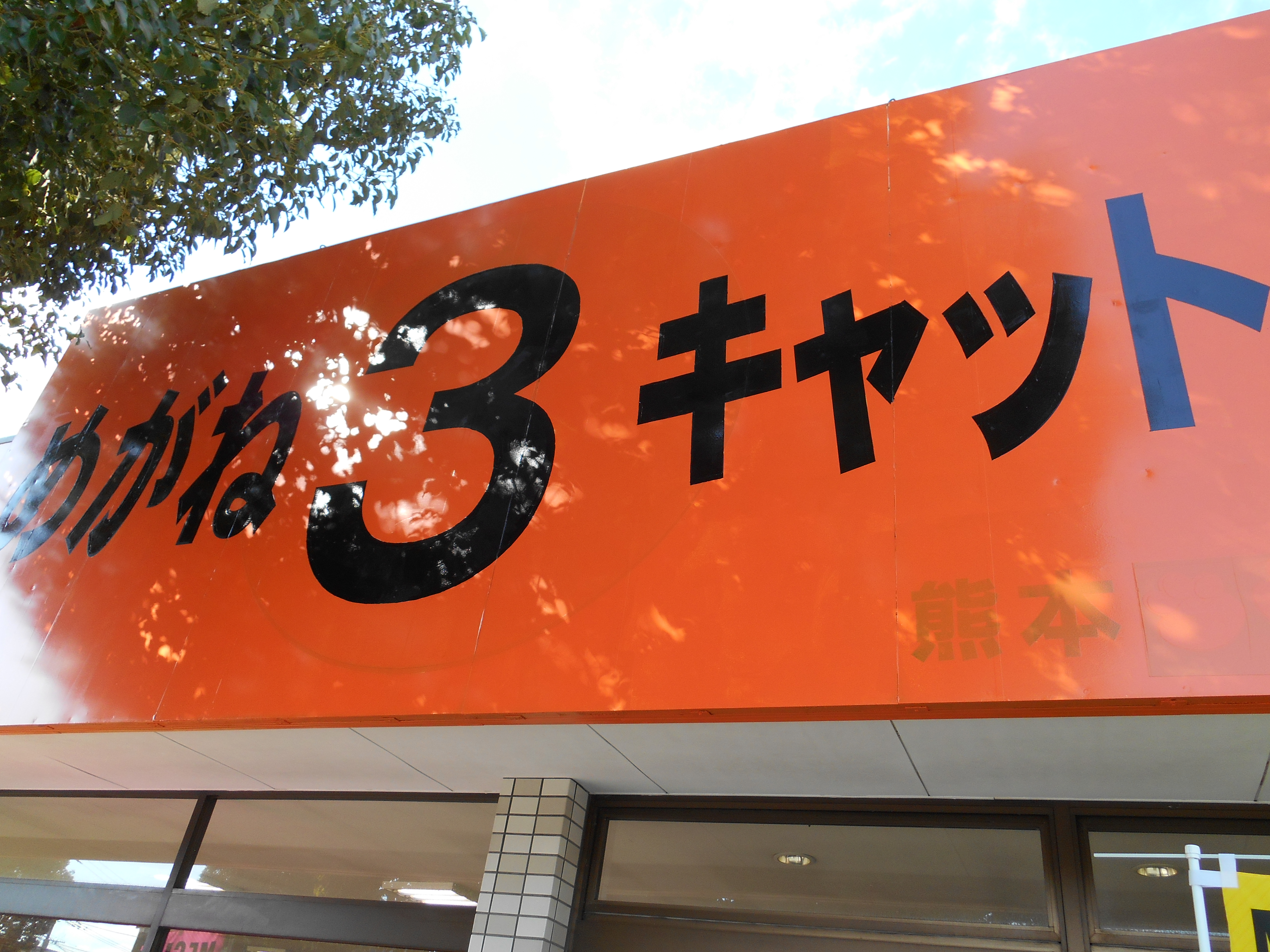 めがねキャット