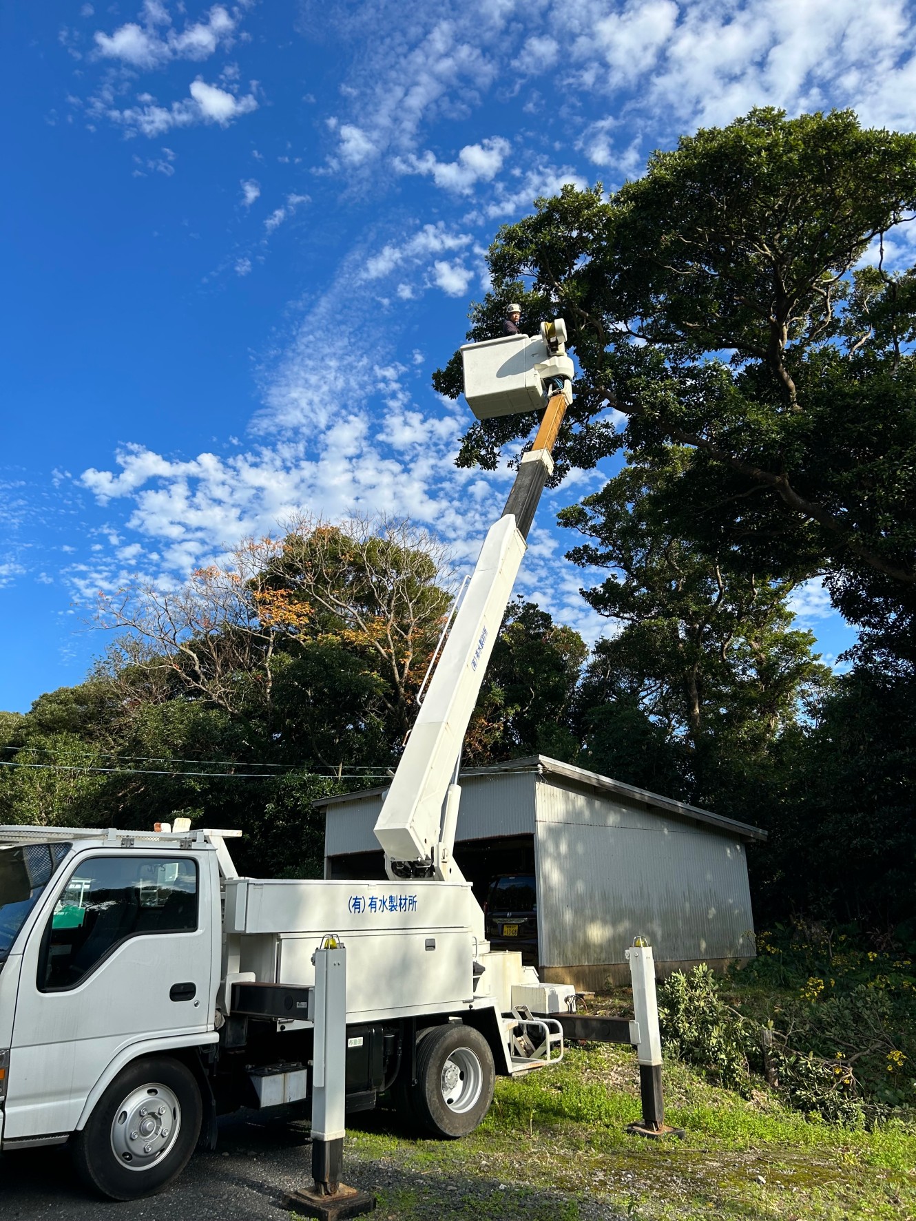 有限会社有水製材所