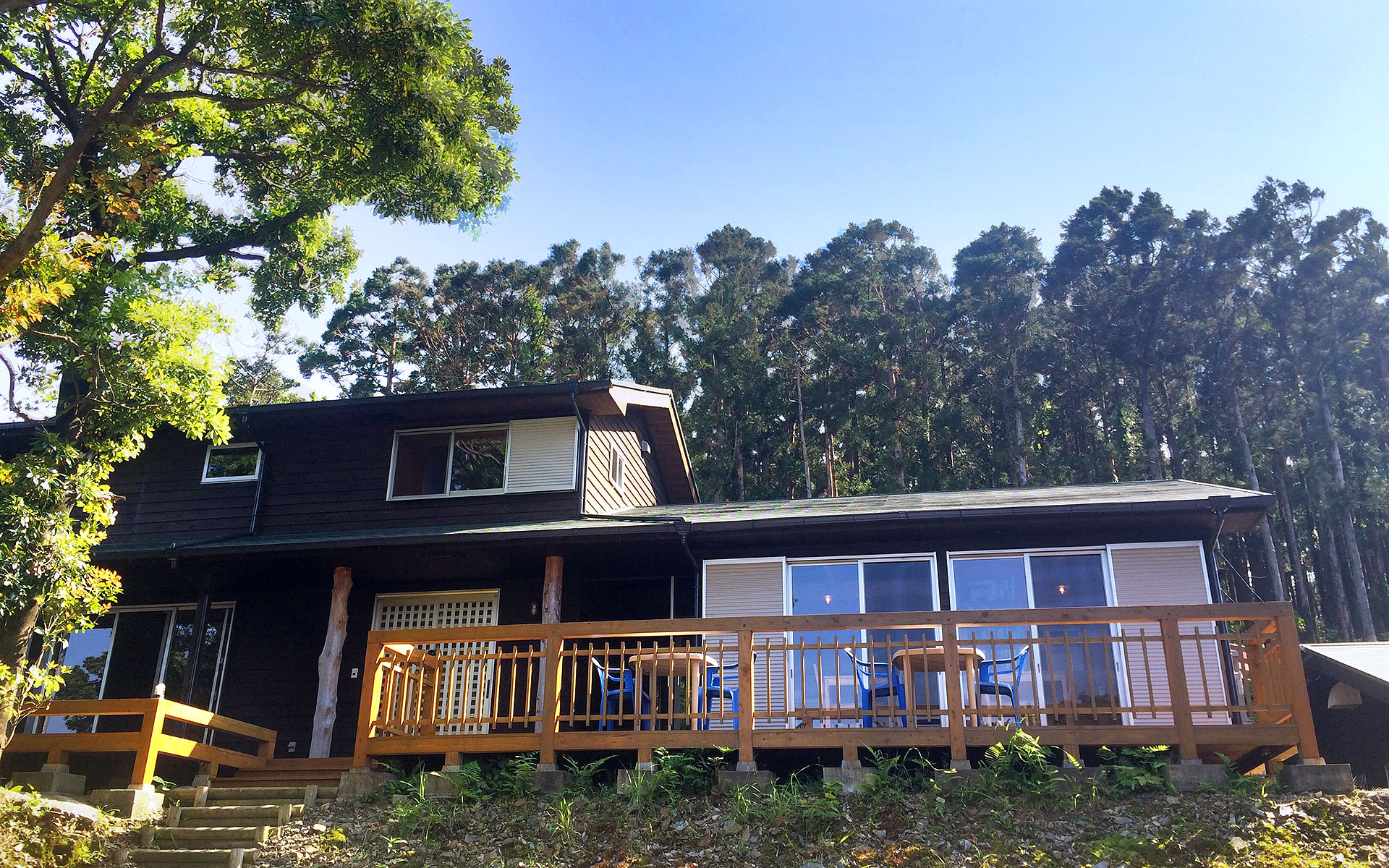 屋久島ダイビングサービスもりとうみ