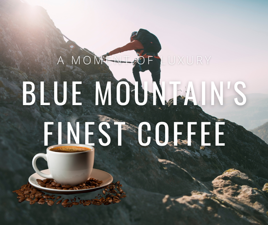 レニー（ＬＥＮＹ）