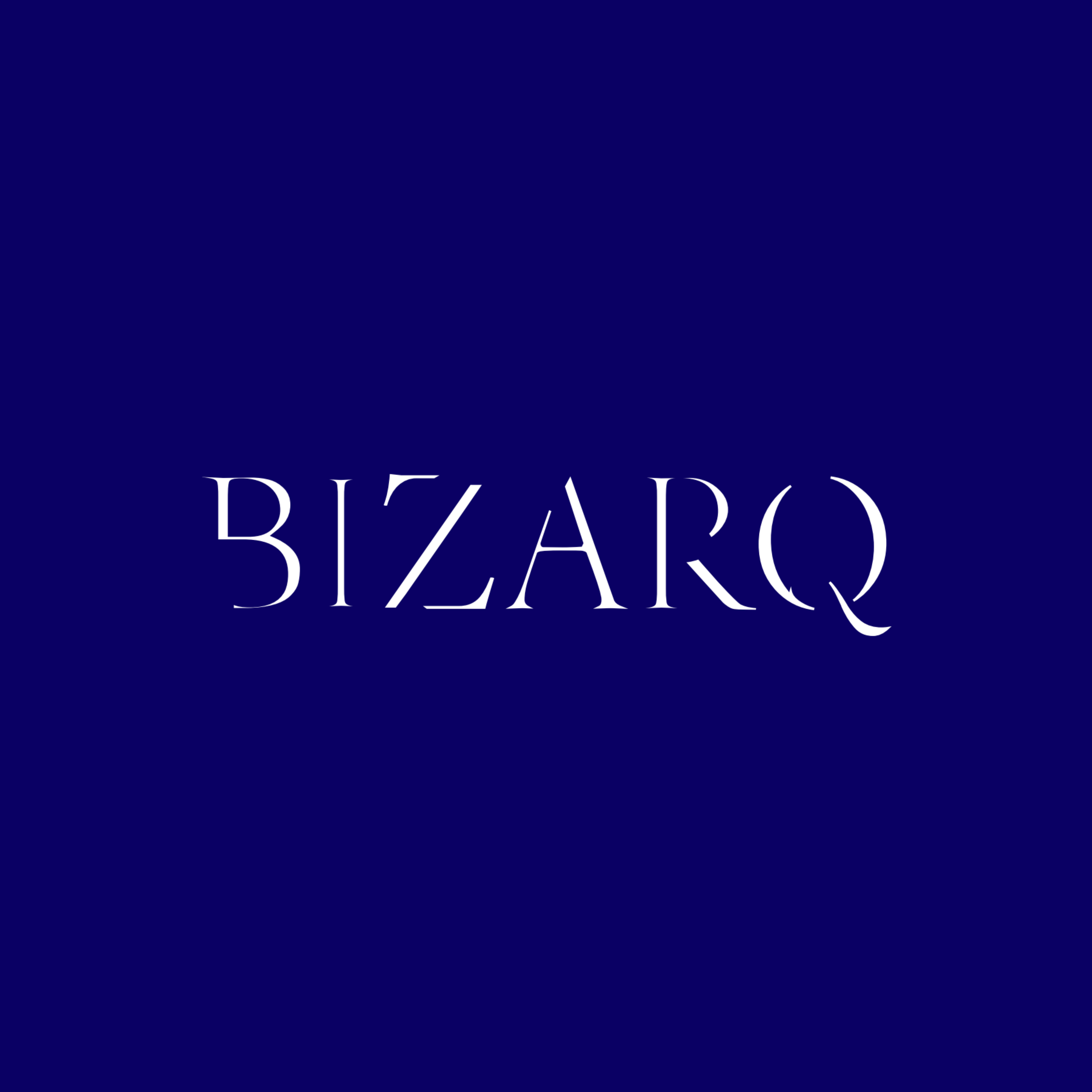 ビズアーク（ＢＩＺＡＲＱ）グループ