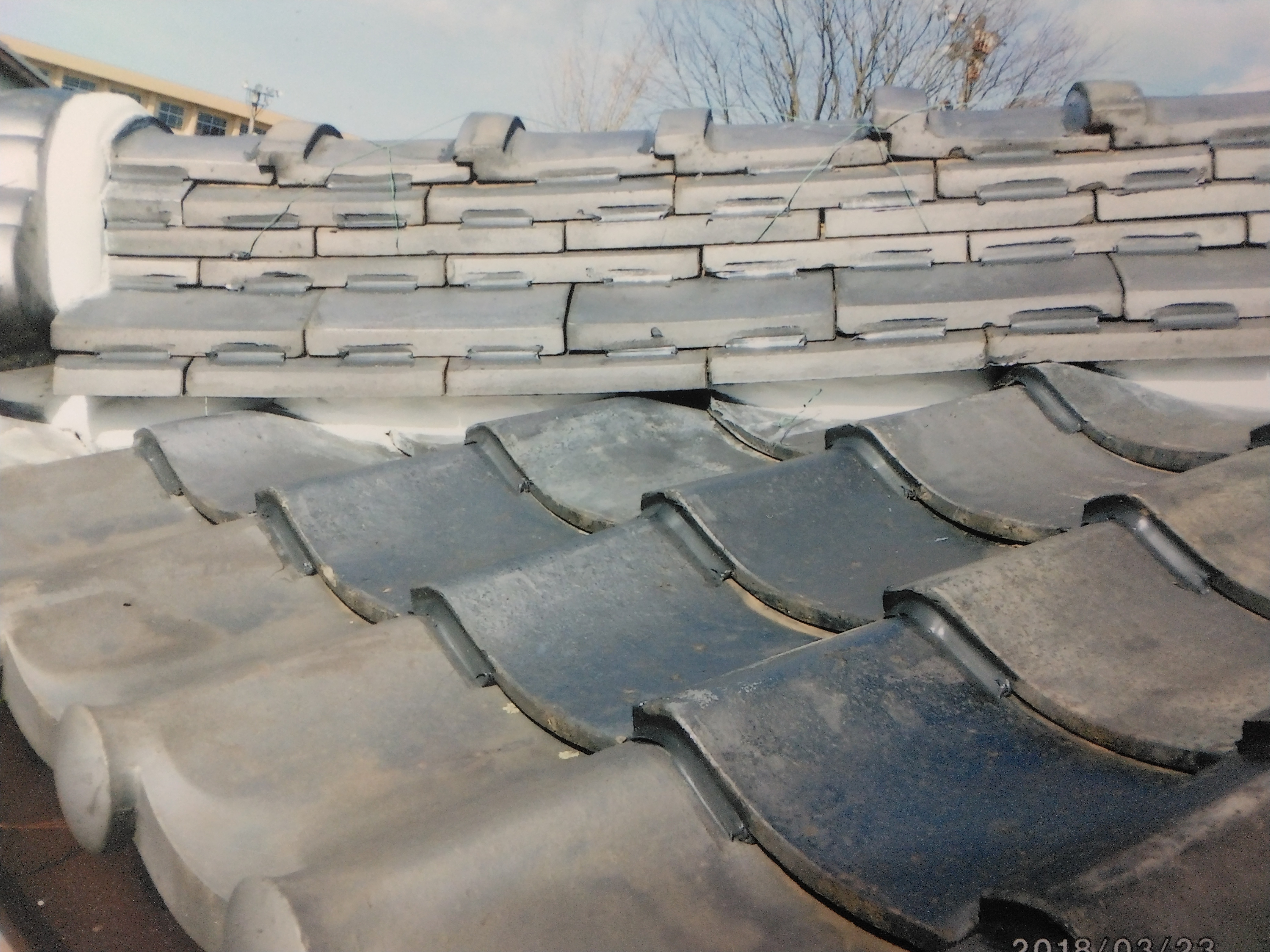 外装オガサワラ