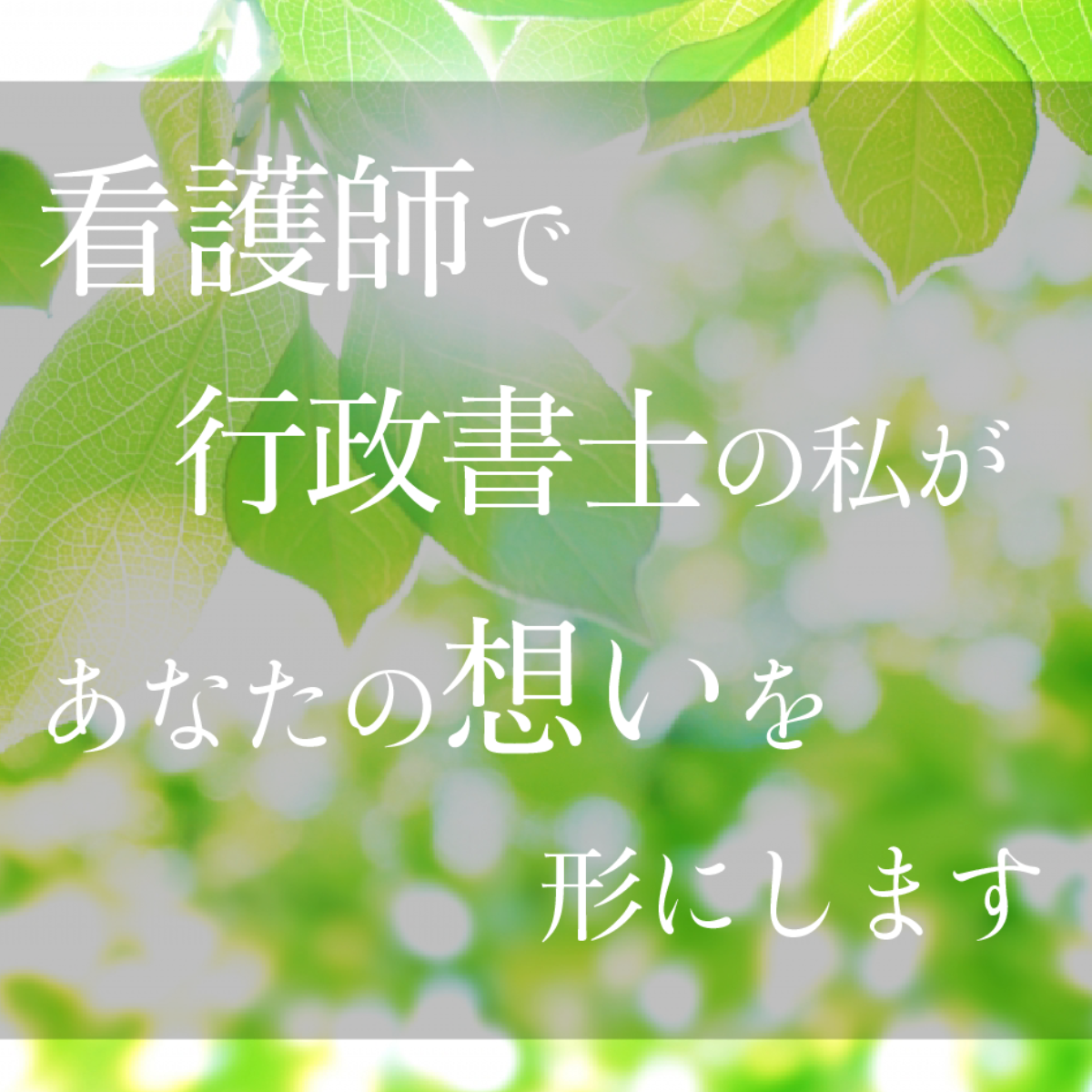 行政書士みどりかわ事務所